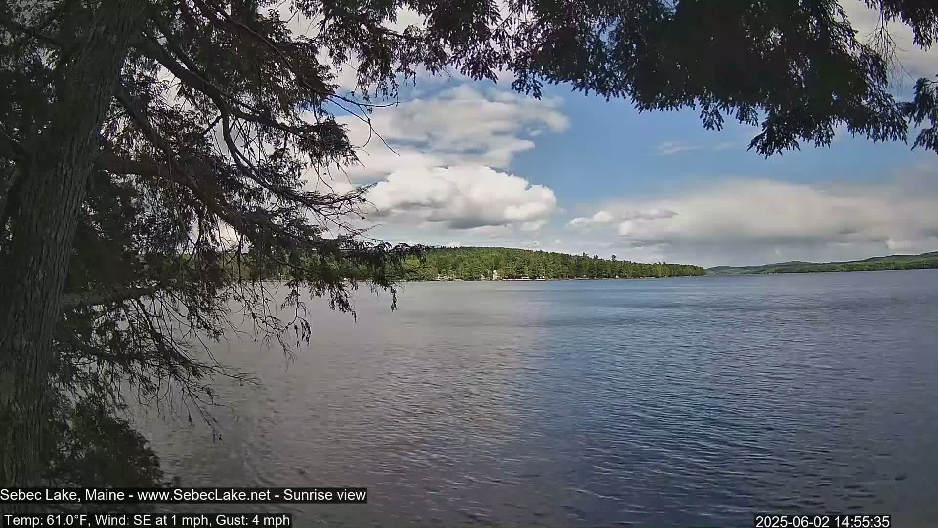 A calm lake is viewed through the branches of a tree under a partly cloudy sky.