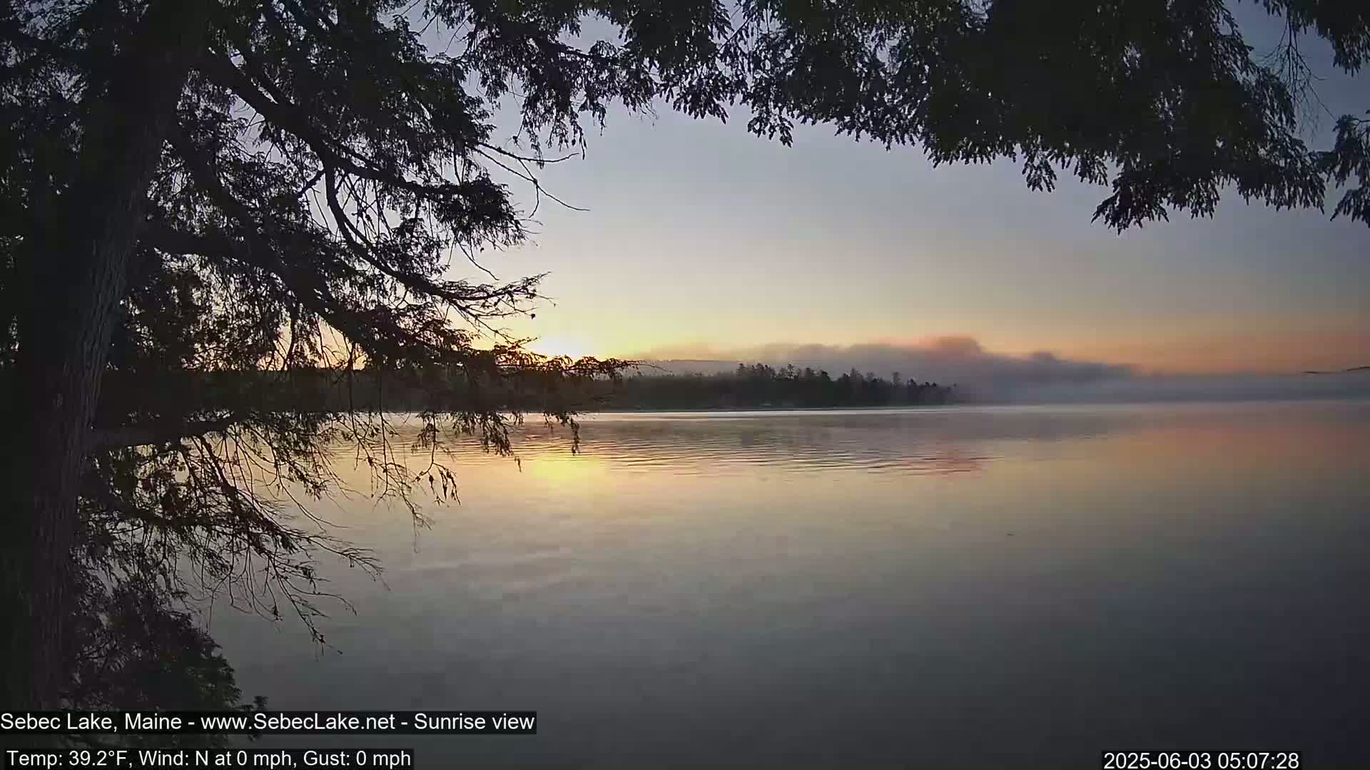 A calm lake at sunrise, with mist hanging over the far shore, is partially framed by a dark tree branch.