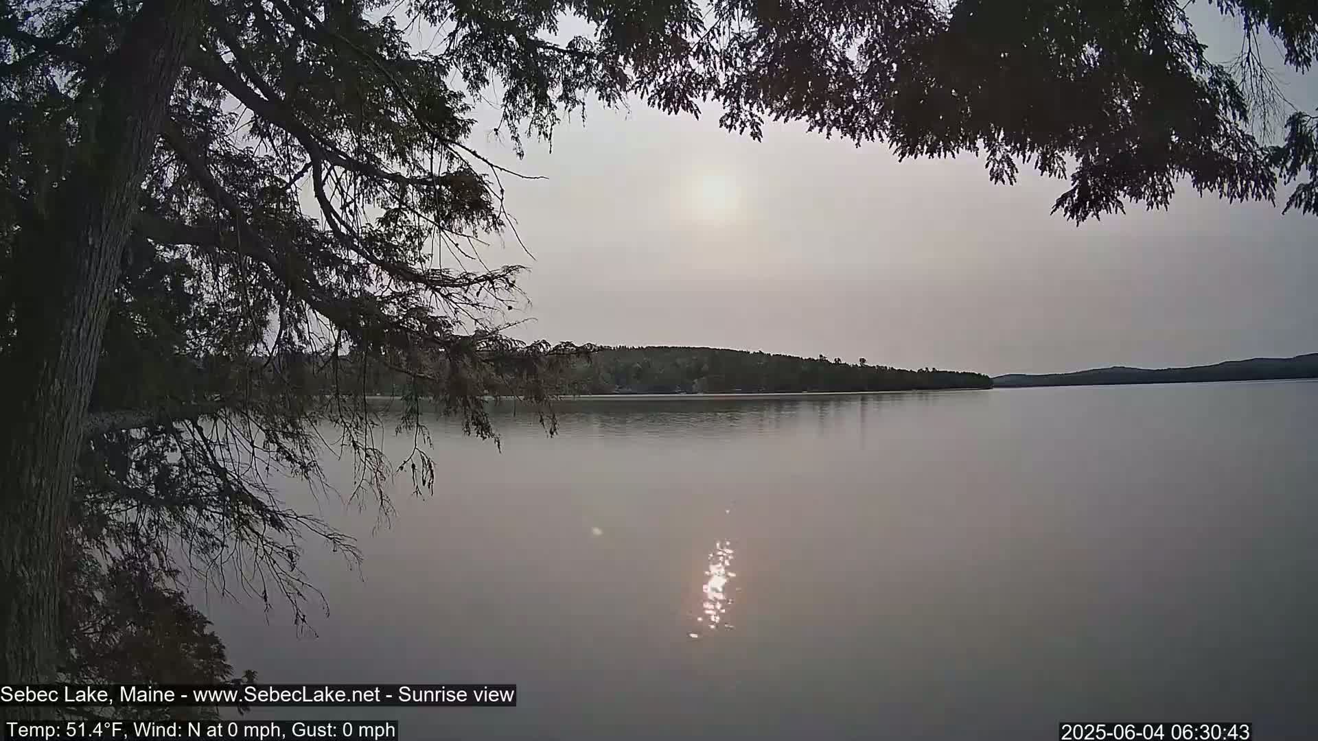 A hazy sunrise over a calm lake is partially obscured by tree branches in the foreground.