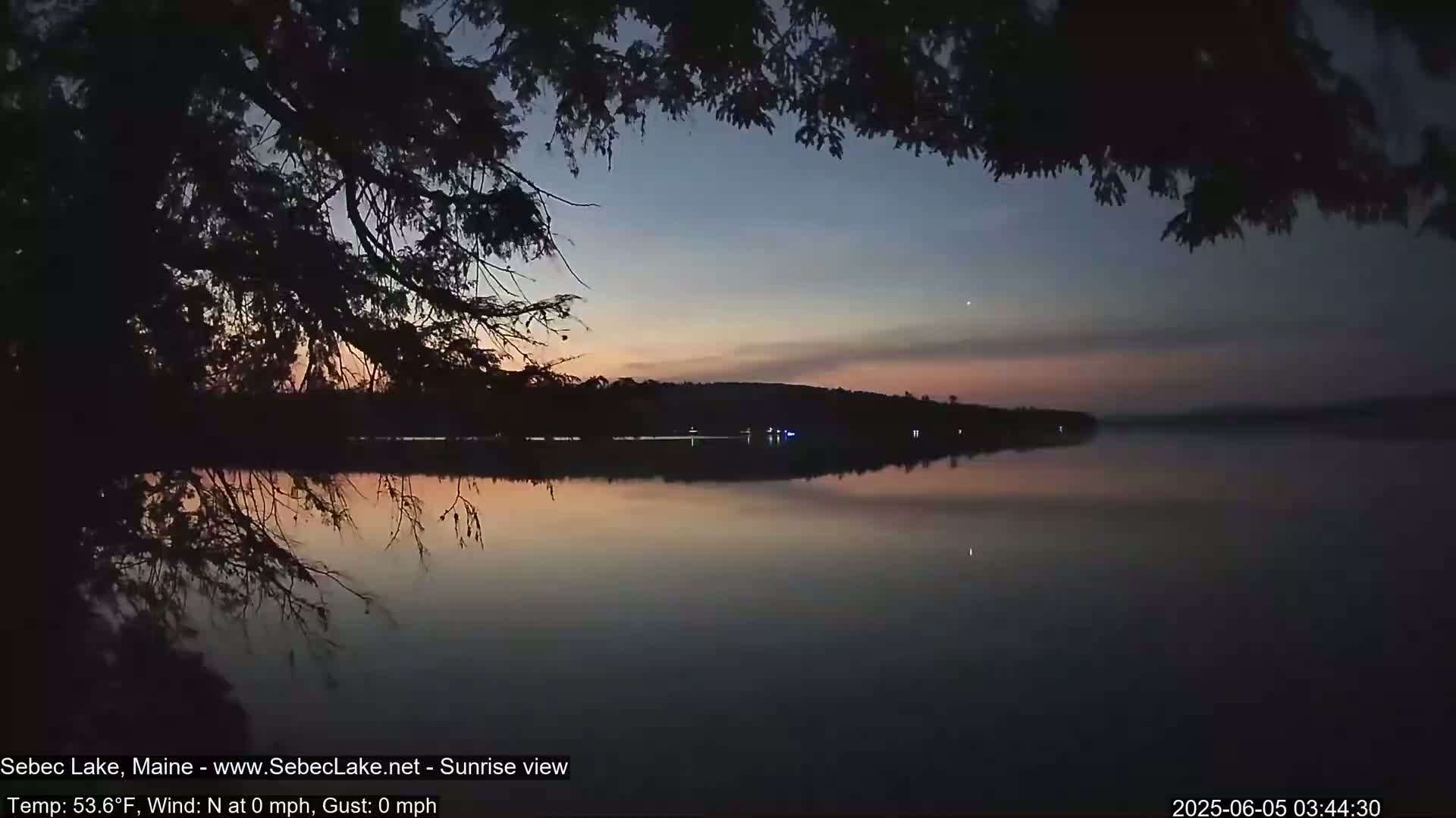 A calm lake reflects a sunrise sky, partially obscured by overhanging tree branches.