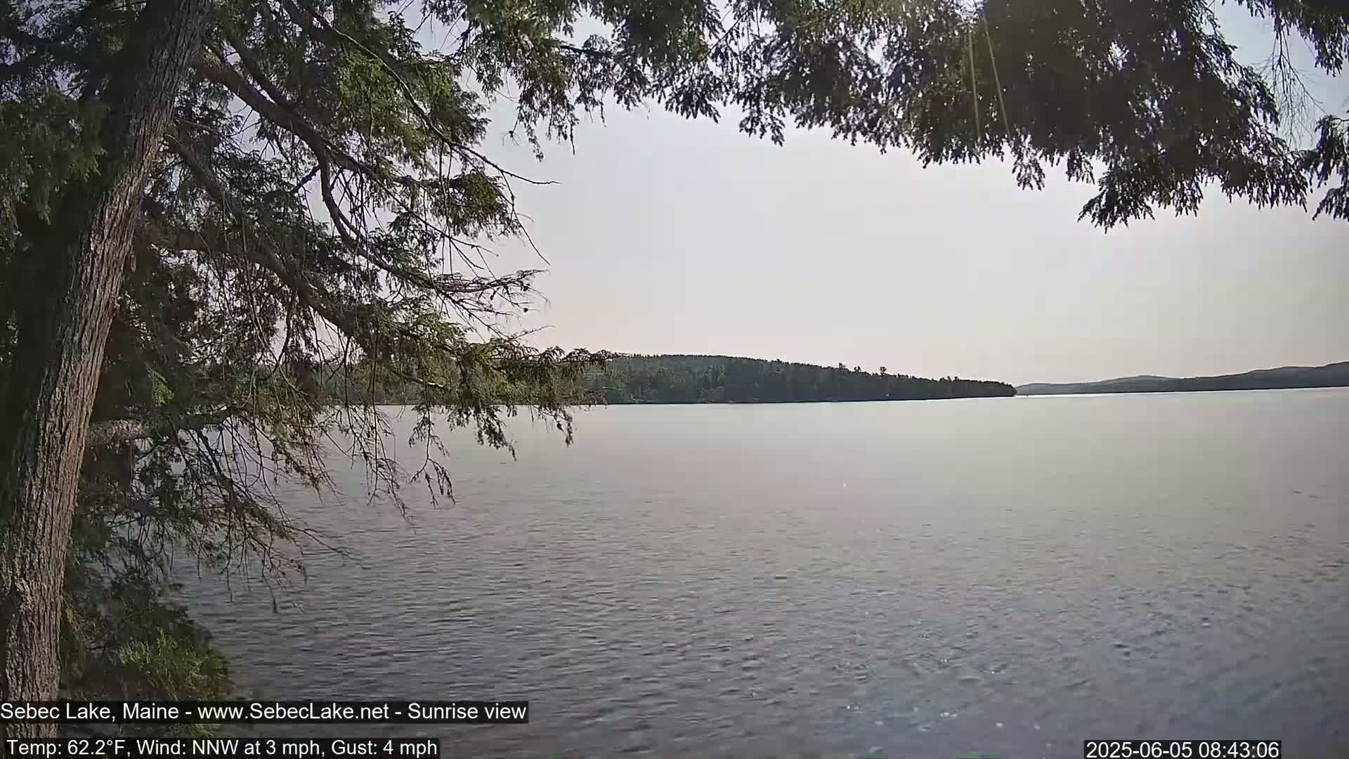 A calm lake is seen through the branches of a tree on a partly sunny day with a light wind.