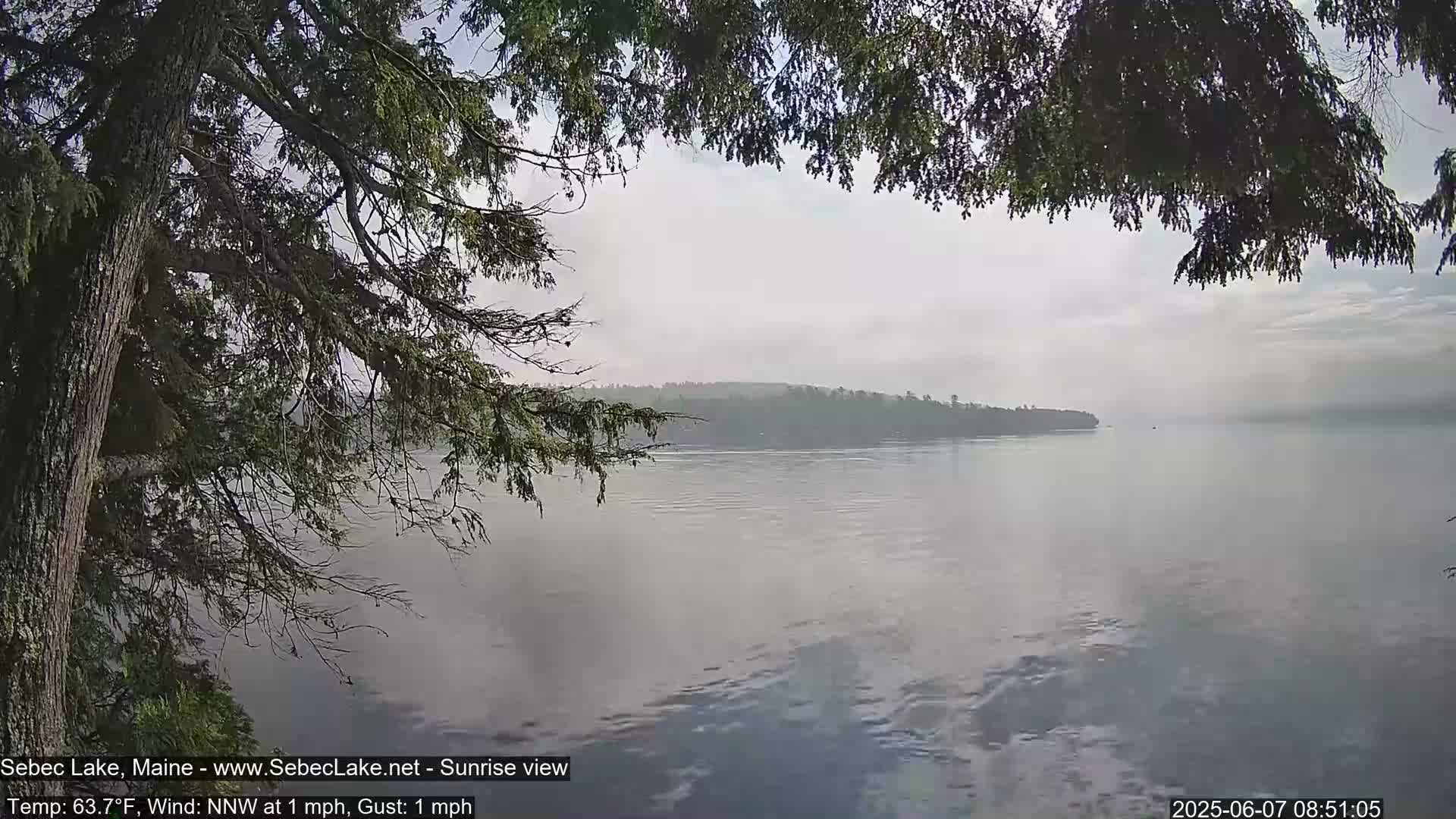 A hazy view of calm water shows a tree-lined shore in the distance, partially obscured by overhanging branches in the foreground under a mostly cloudy sky.