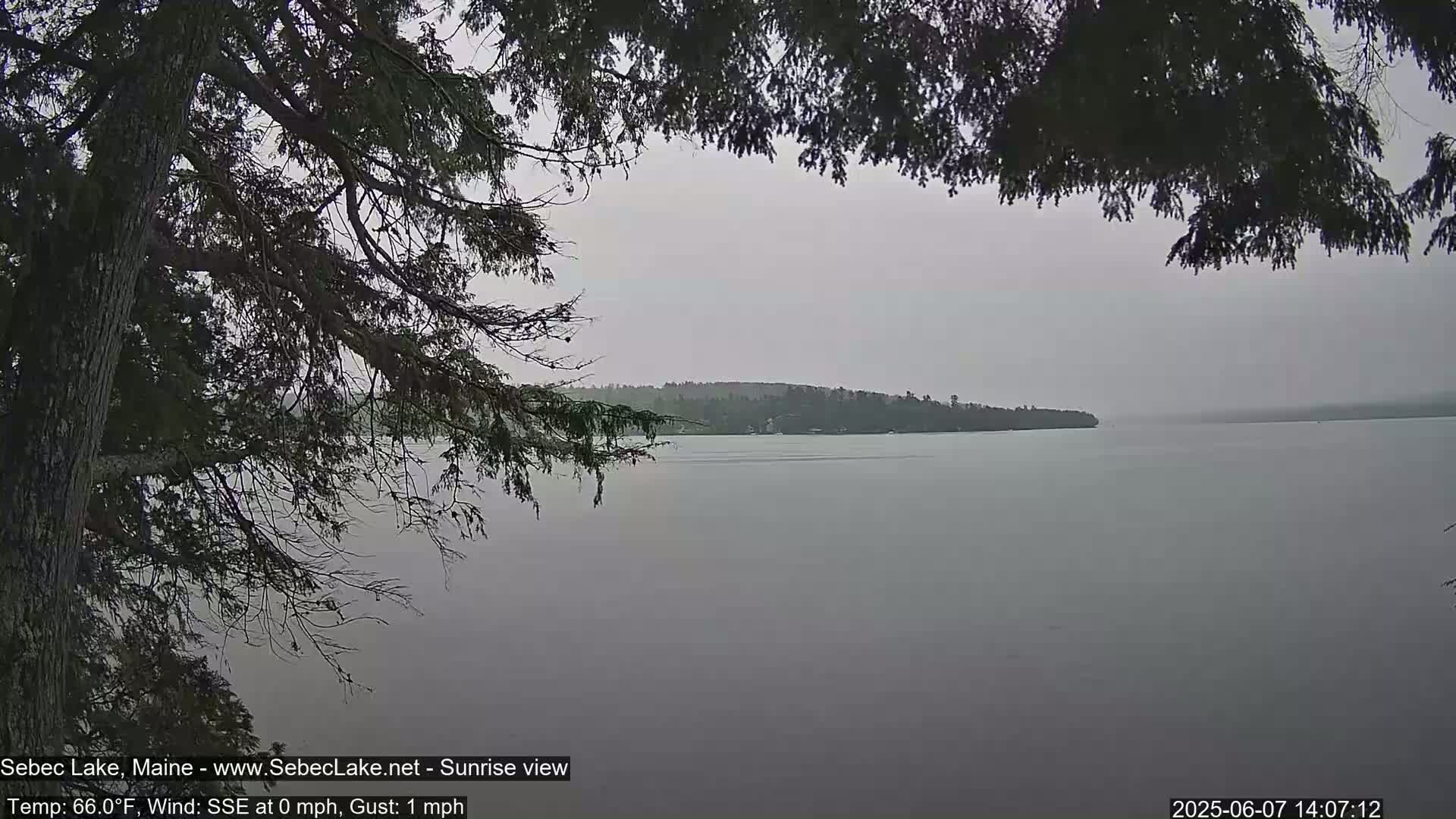 A calm, overcast lake is seen through the branches of a dark evergreen tree, with a treeline visible in the distance.