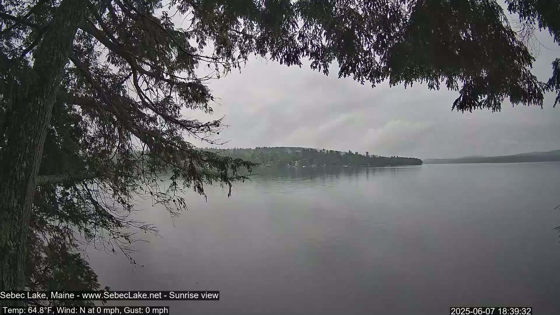 Overhanging tree branches frame a view of a calm lake under an overcast sky.