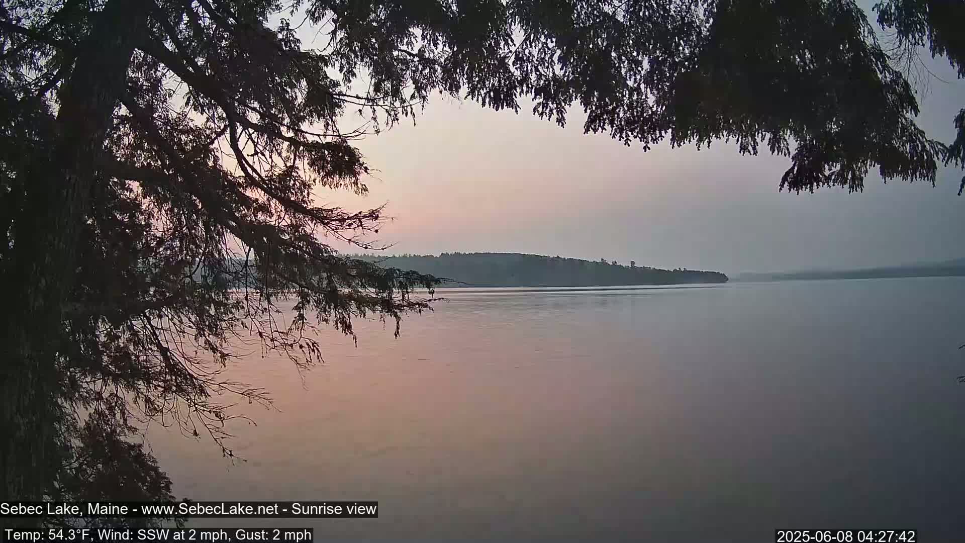 A calm lake at sunrise, viewed through the branches of a tree, under a hazy, pastel sky.