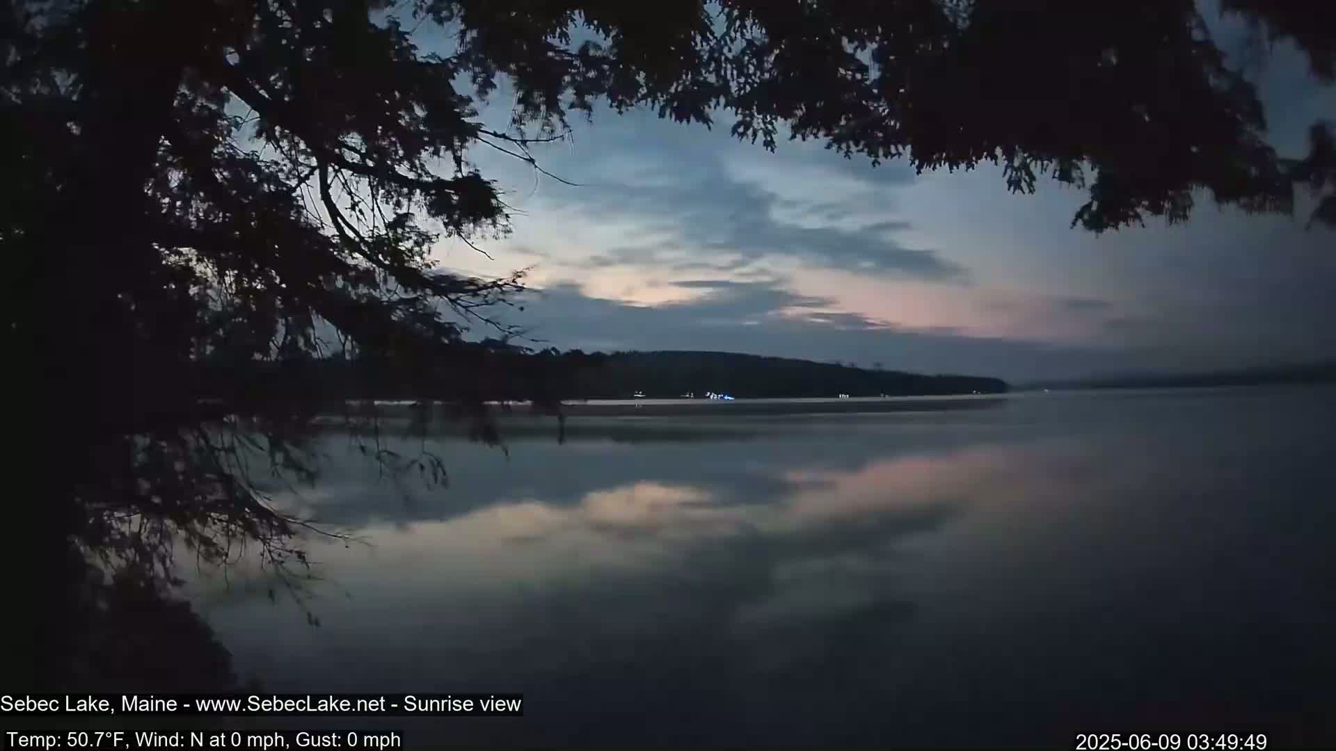 A calm lake reflects a pale sunrise sky under a mostly cloudy, pre-dawn sky, partially obscured by overhanging tree branches.
