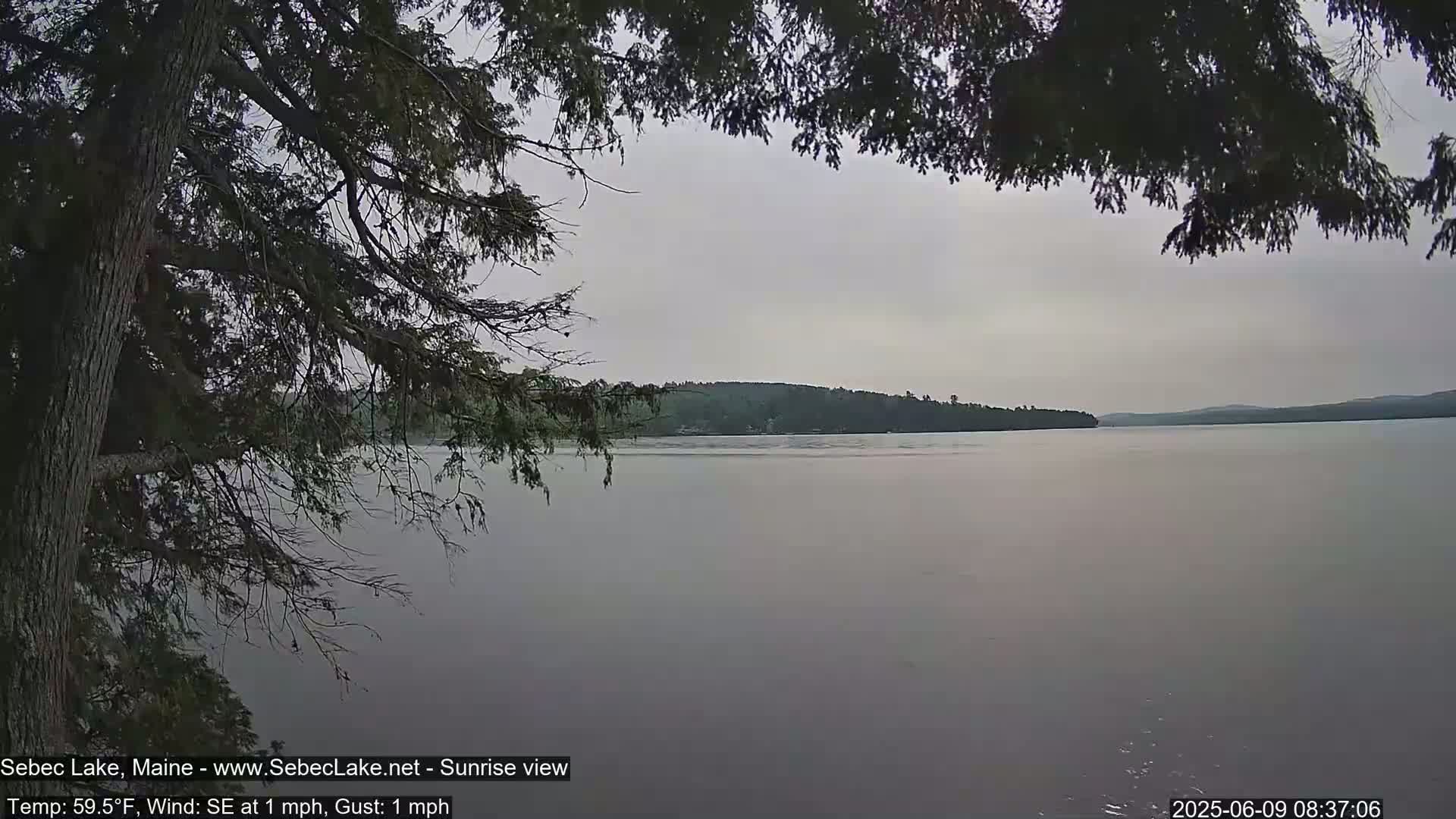 A calm lake is viewed from under the branches of a tree on an overcast morning.