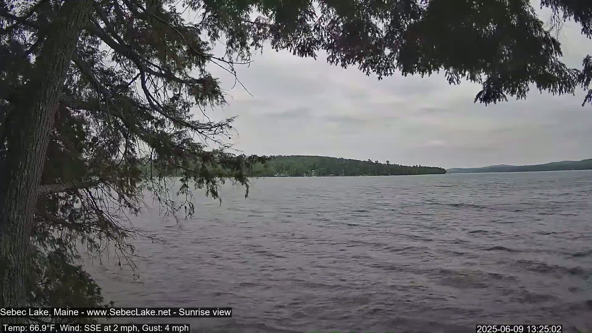 Over a calm lake with a wooded shoreline under a cloudy sky, tree branches partially obscure the view from the foreground.