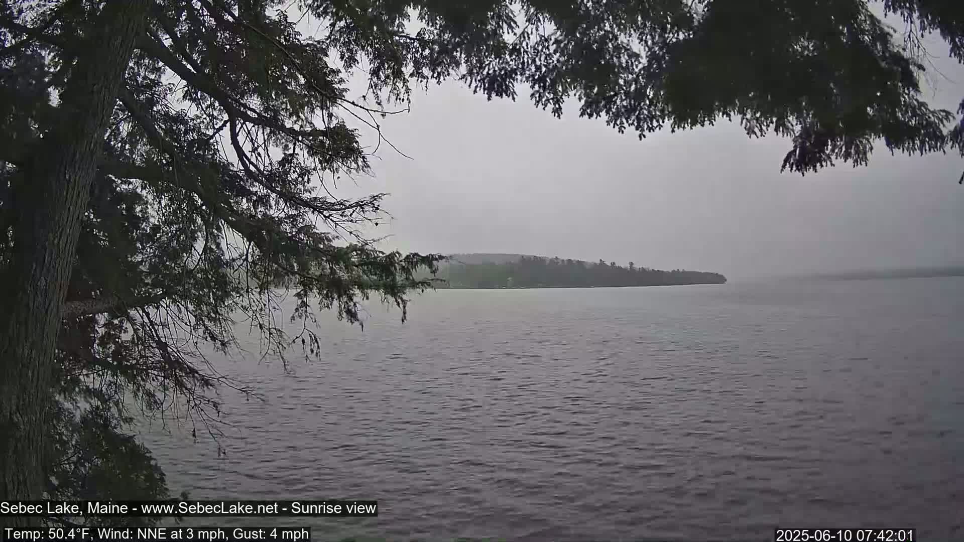 Overcast, a calm lake is seen through the branches of a tree, with a distant tree-covered landmass visible on the horizon.