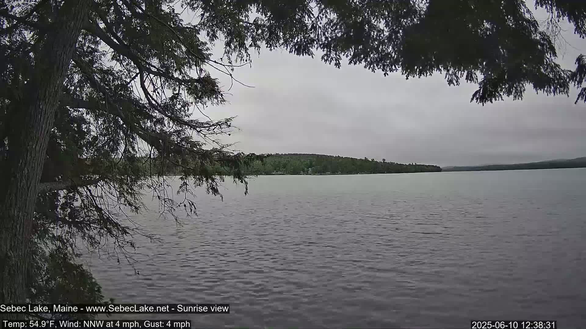 A calm lake is viewed from under the branches of a tree on an overcast day.