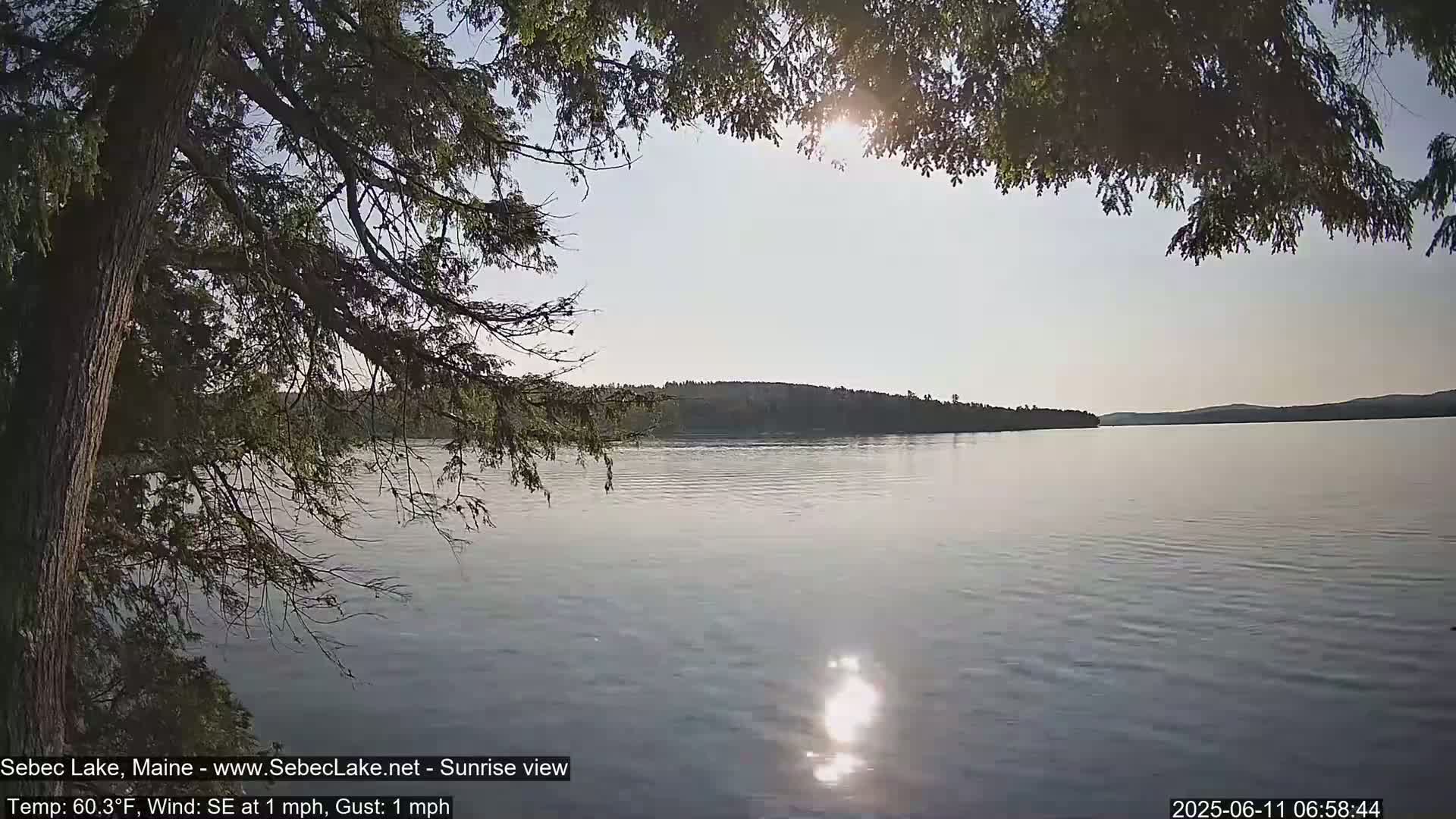 A calm lake at sunrise is viewed from under the branches of a tree, with the sun shining brightly on the water.