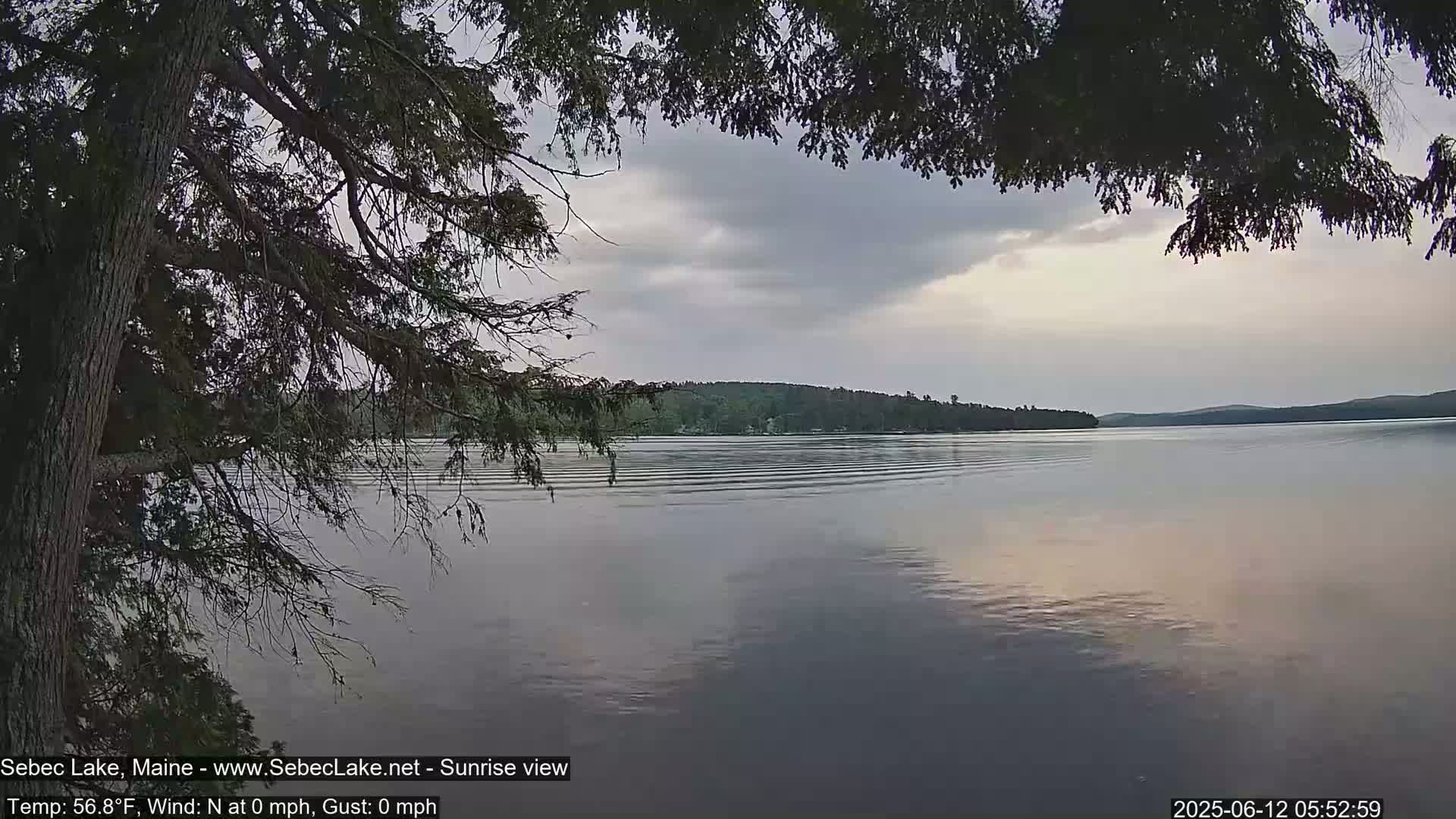 A calm lake with a tree branch in the foreground, under a mostly cloudy sky.