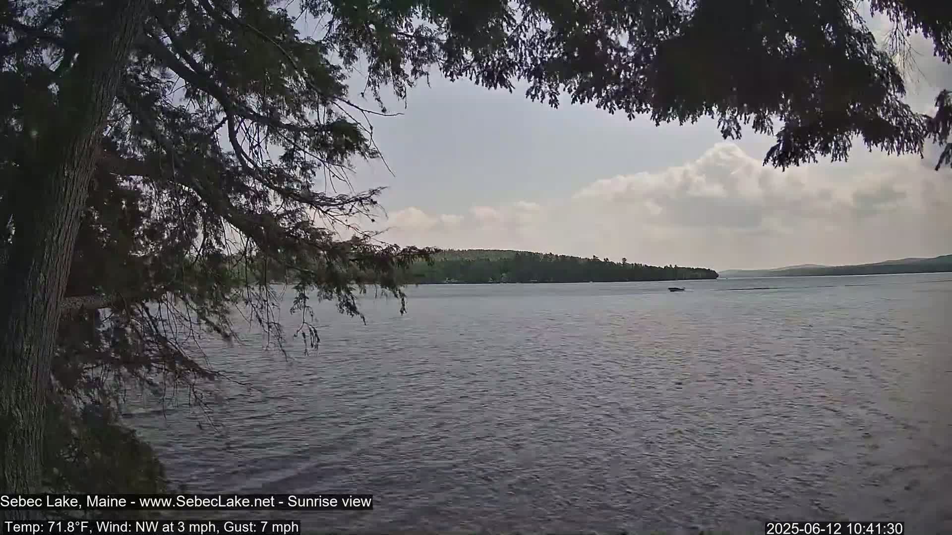 A partly cloudy sky hangs over a calm lake, viewed from behind overhanging tree branches.