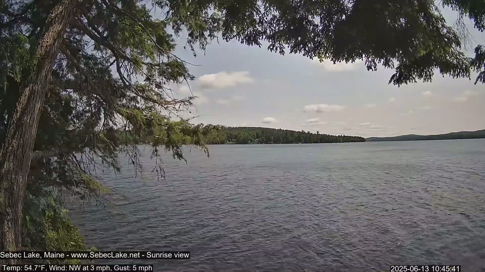 A calm lake with a tree partially obscuring the view of a treeline in the distance under a partly cloudy sky.