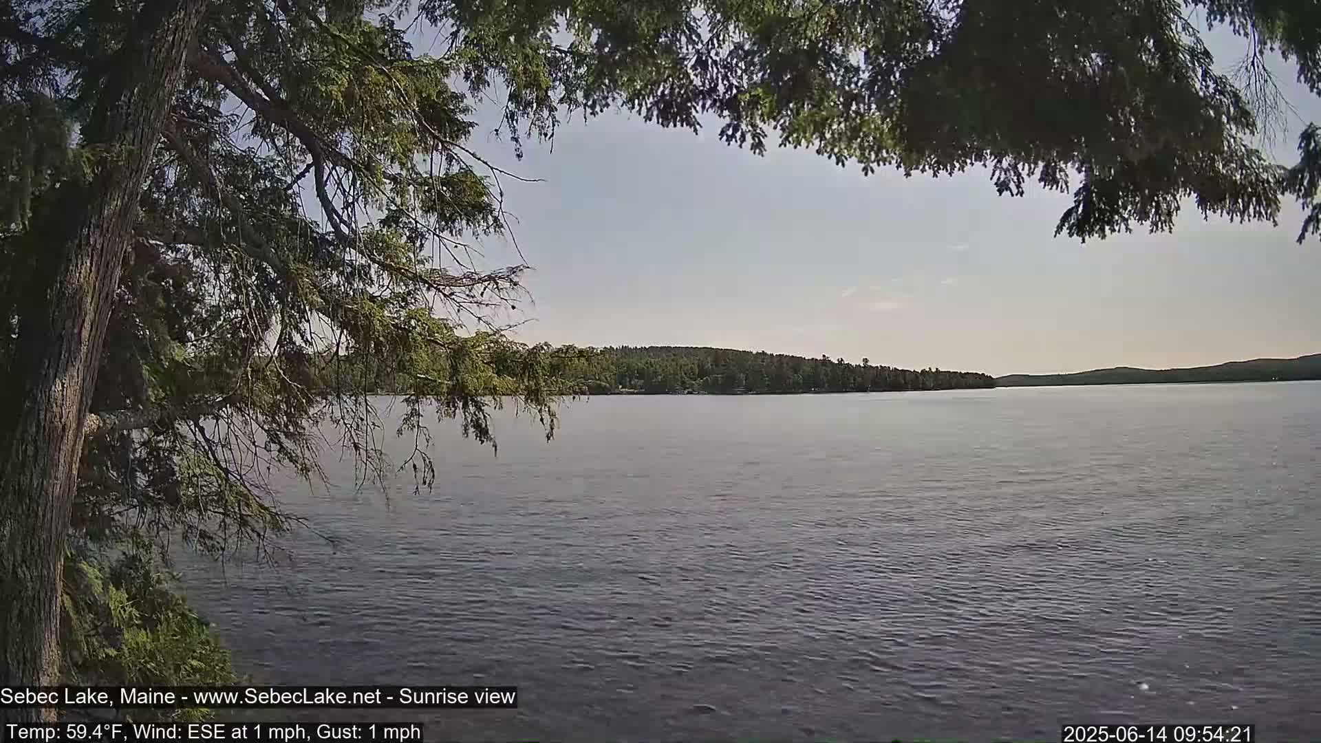 A calm lake with a tree-lined shore is viewed from under the branches of a coniferous tree on a partly sunny day.