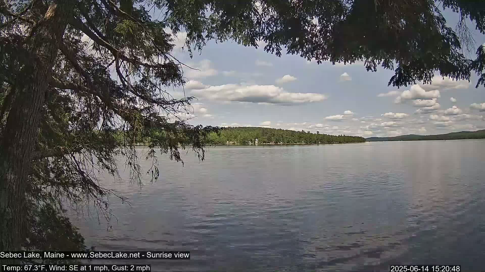 A calm lake with a tree-lined shore is viewed from under the branches of a coniferous tree on a partly sunny day.