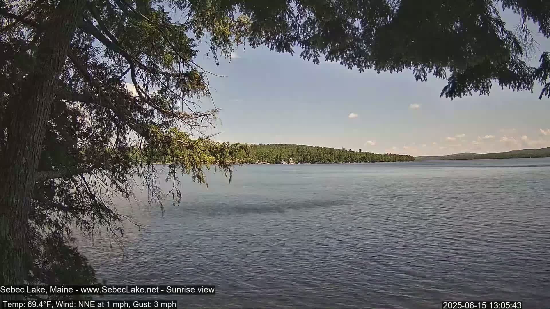 A calm lake is seen through the branches of a tree on a partly cloudy day.