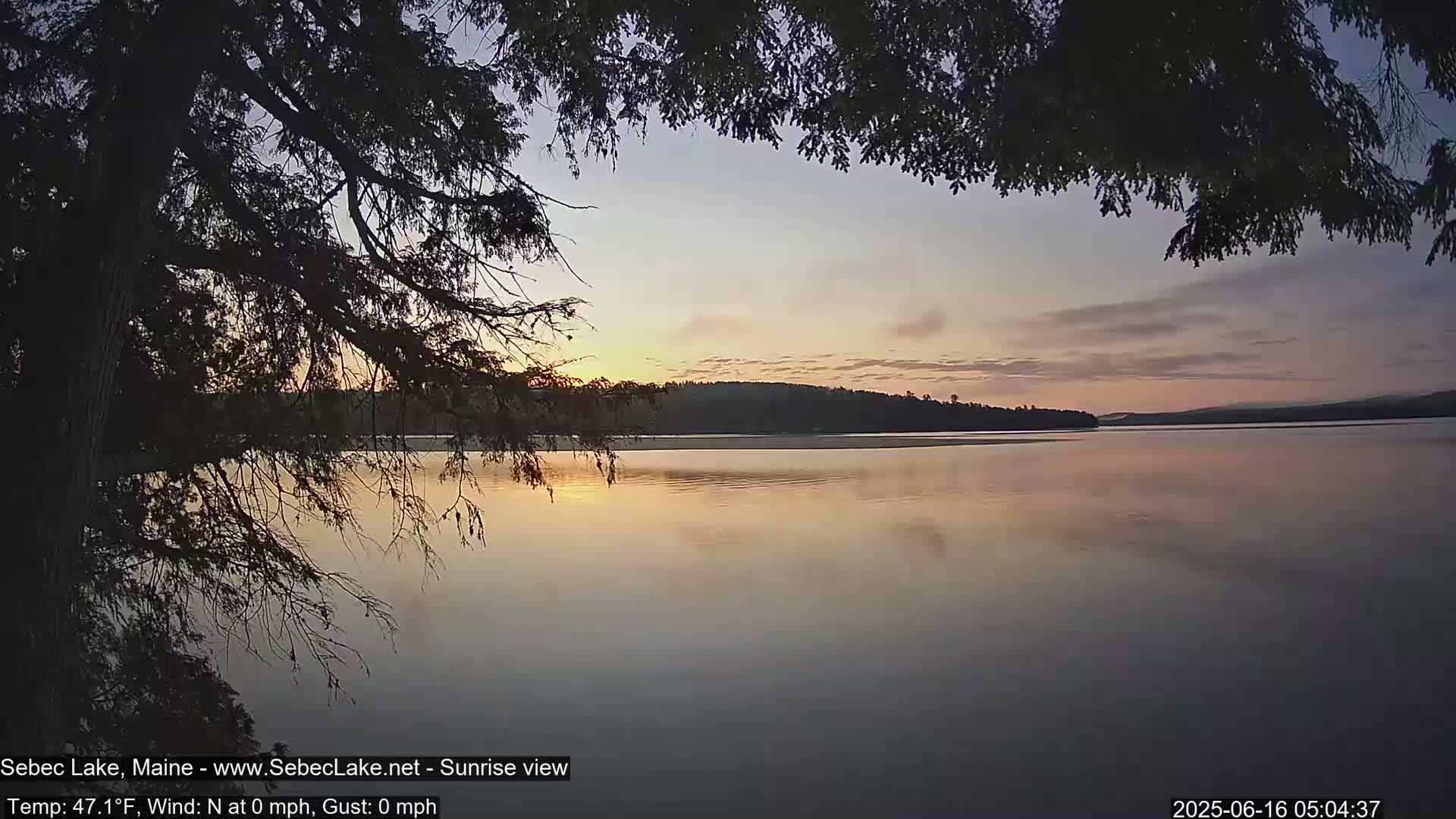 A calm lake at sunrise, viewed from under the branches of a tree, with a pastel sky and a dark tree line across the water.
