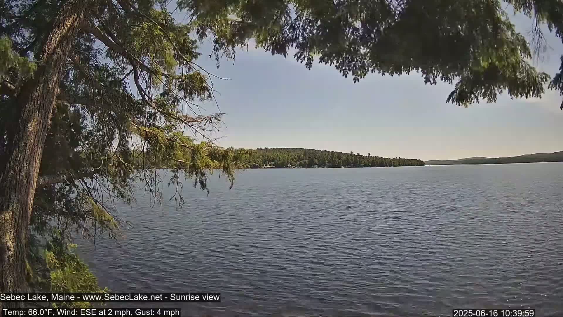 A calm lake is seen from under the branches of a coniferous tree on a sunny day with a gentle ESE wind.