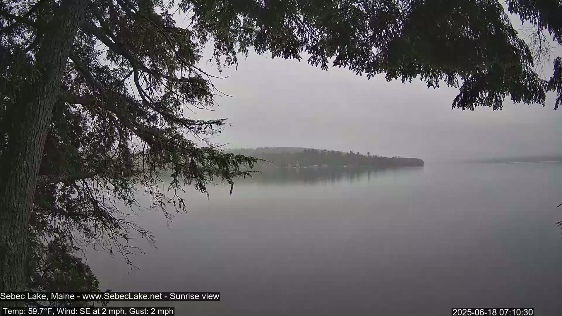 A foggy lake is seen through the branches of a tree, with a small wooded island visible in the distance.