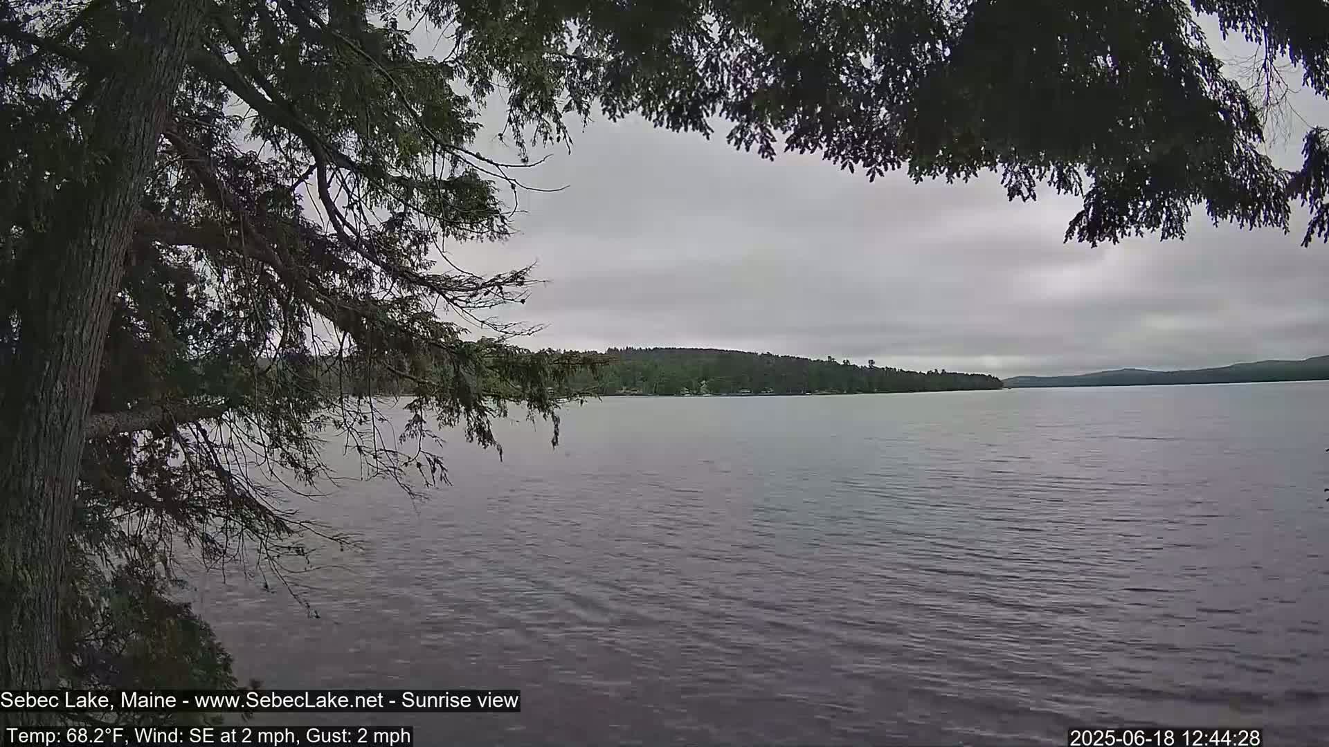 A calm lake is viewed from under a tree's branches on an overcast day.