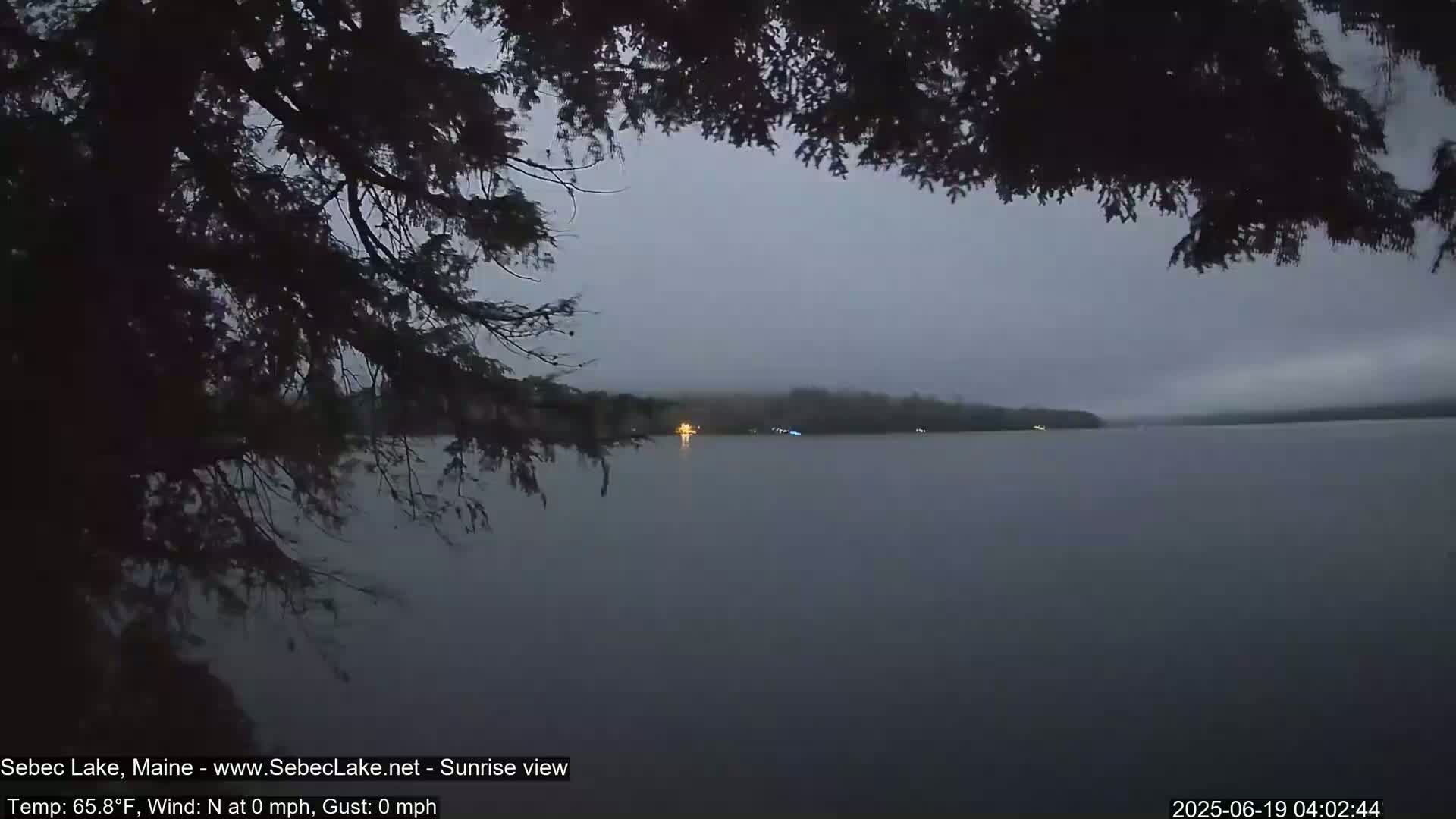 A calm, pre-dawn lake is viewed from behind dark tree branches under a gray, slightly misty sky.
