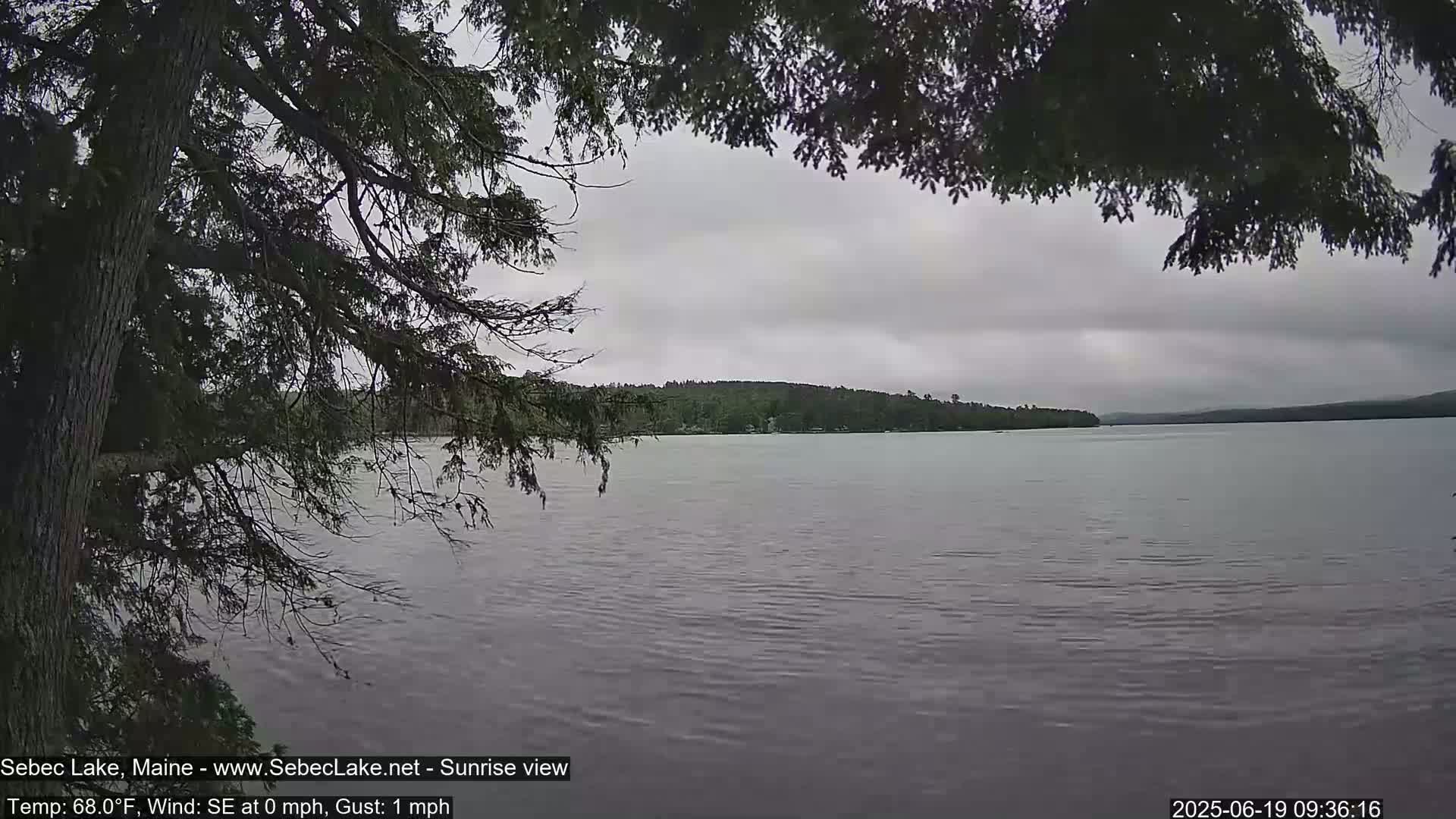 A calm lake under an overcast sky is viewed from behind tree branches.