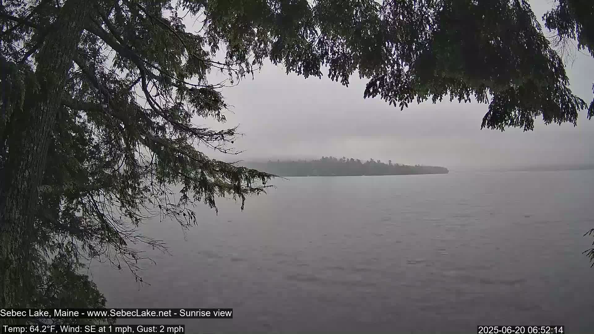 A misty, gray lake is seen through the branches of a dark evergreen tree, with a distant, indistinct shoreline visible.