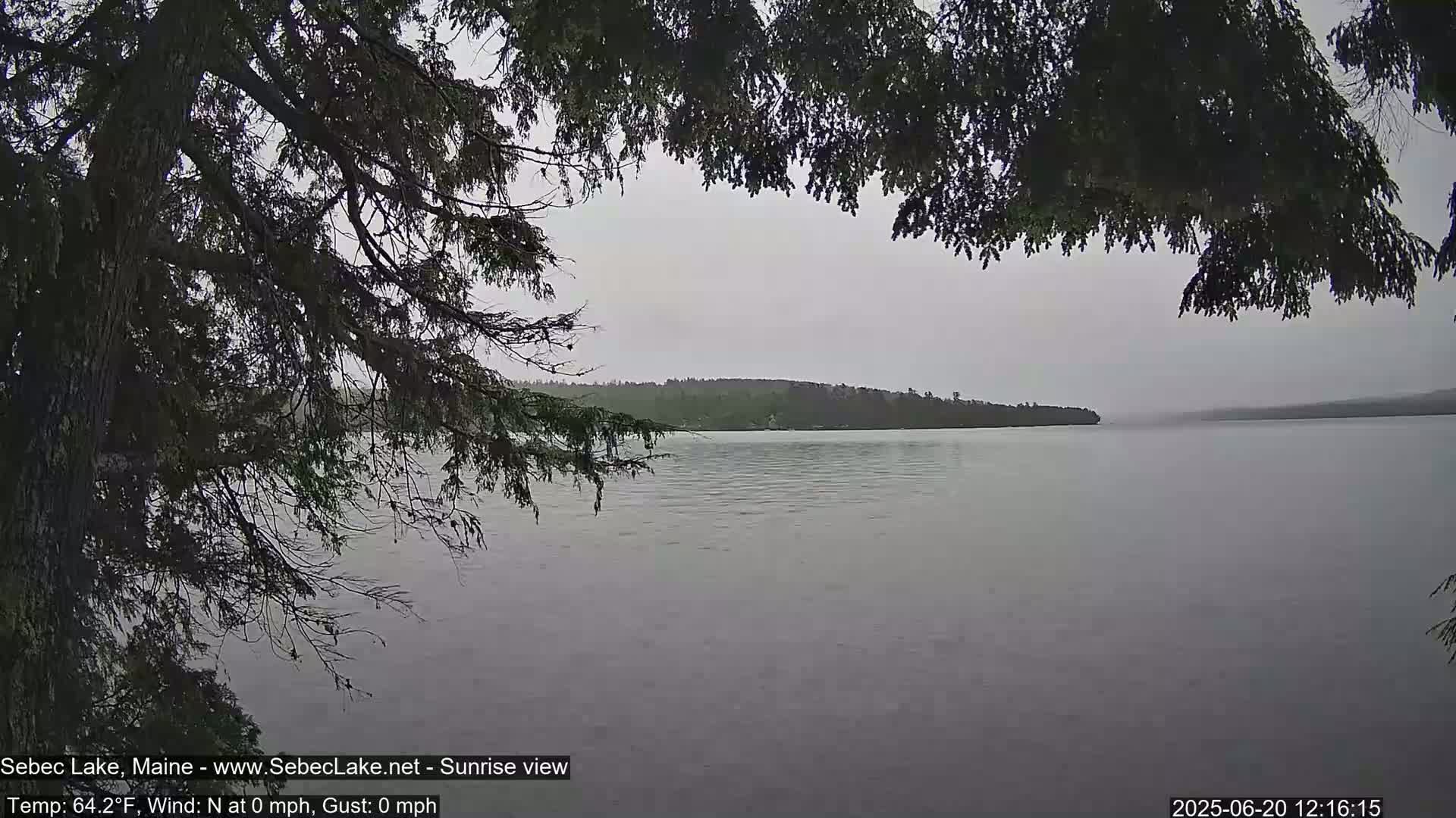A calm, overcast lake is seen through the branches of a dark coniferous tree.