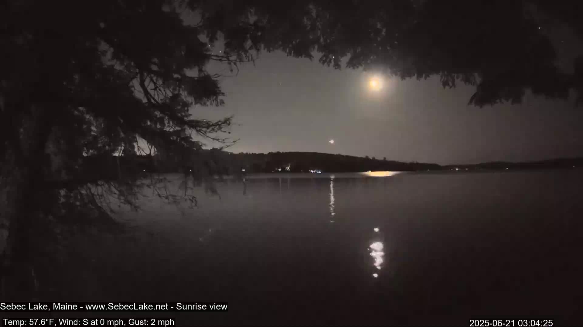 A bright moon illuminates a calm lake at night, partially obscured by tree branches overhead.