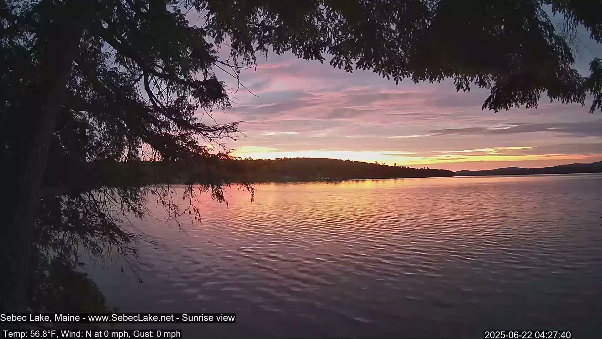 A calm lake at sunrise reflects a pinkish-orange sky, partially obscured by silhouetted tree branches.