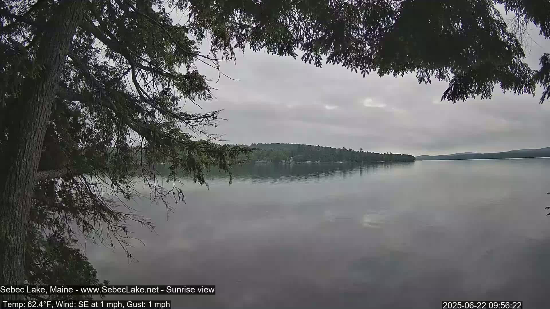 A calm lake with a distant tree-lined shore is viewed from under a canopy of overhanging branches on an overcast day.