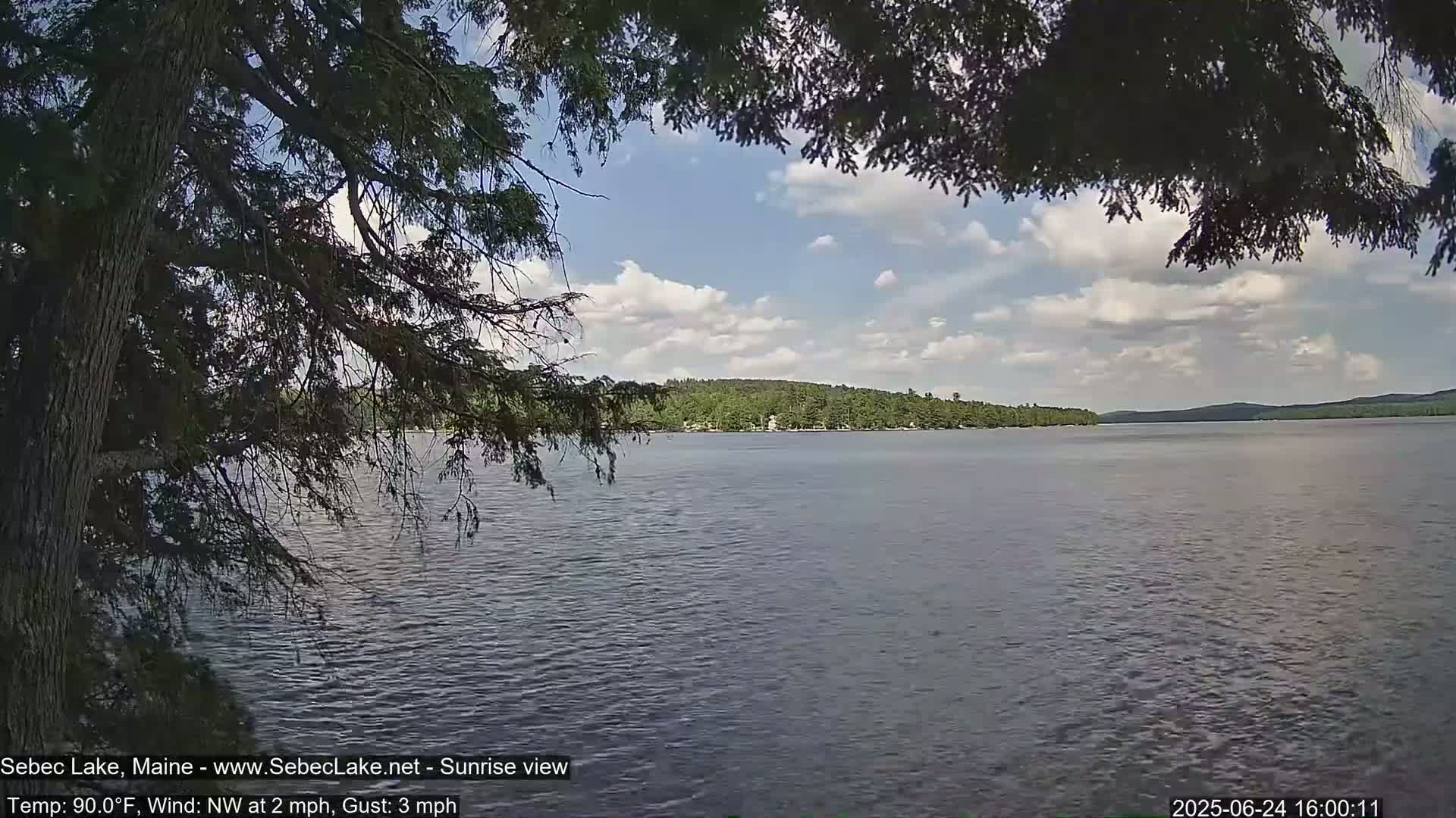 A partly cloudy, warm day is shown, with a view of a calm lake framed by tree branches and a tree-lined distant shore.