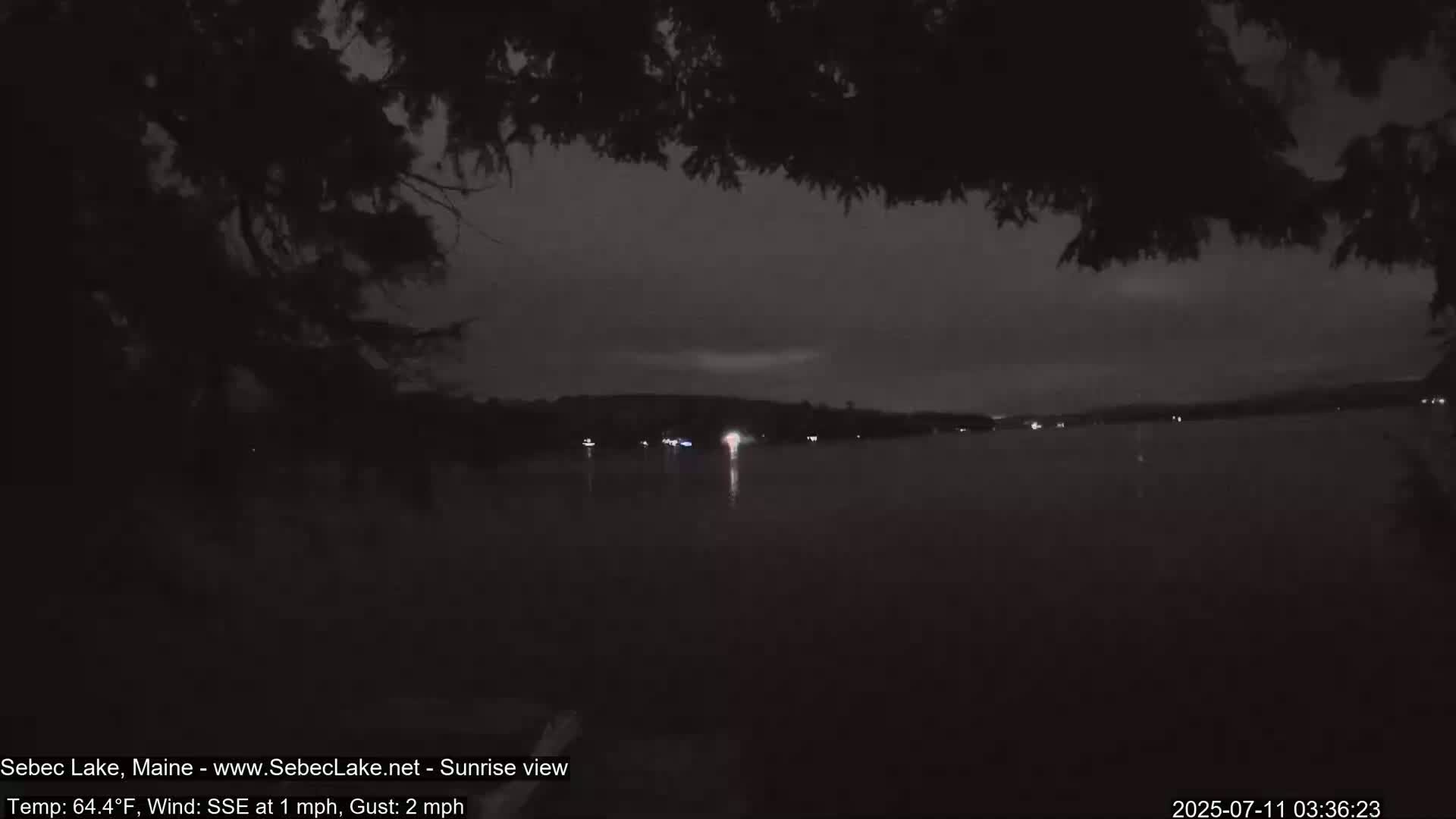 A nighttime view of a calm lake with a few distant lights visible across the water, partially obscured by overhanging tree branches.
