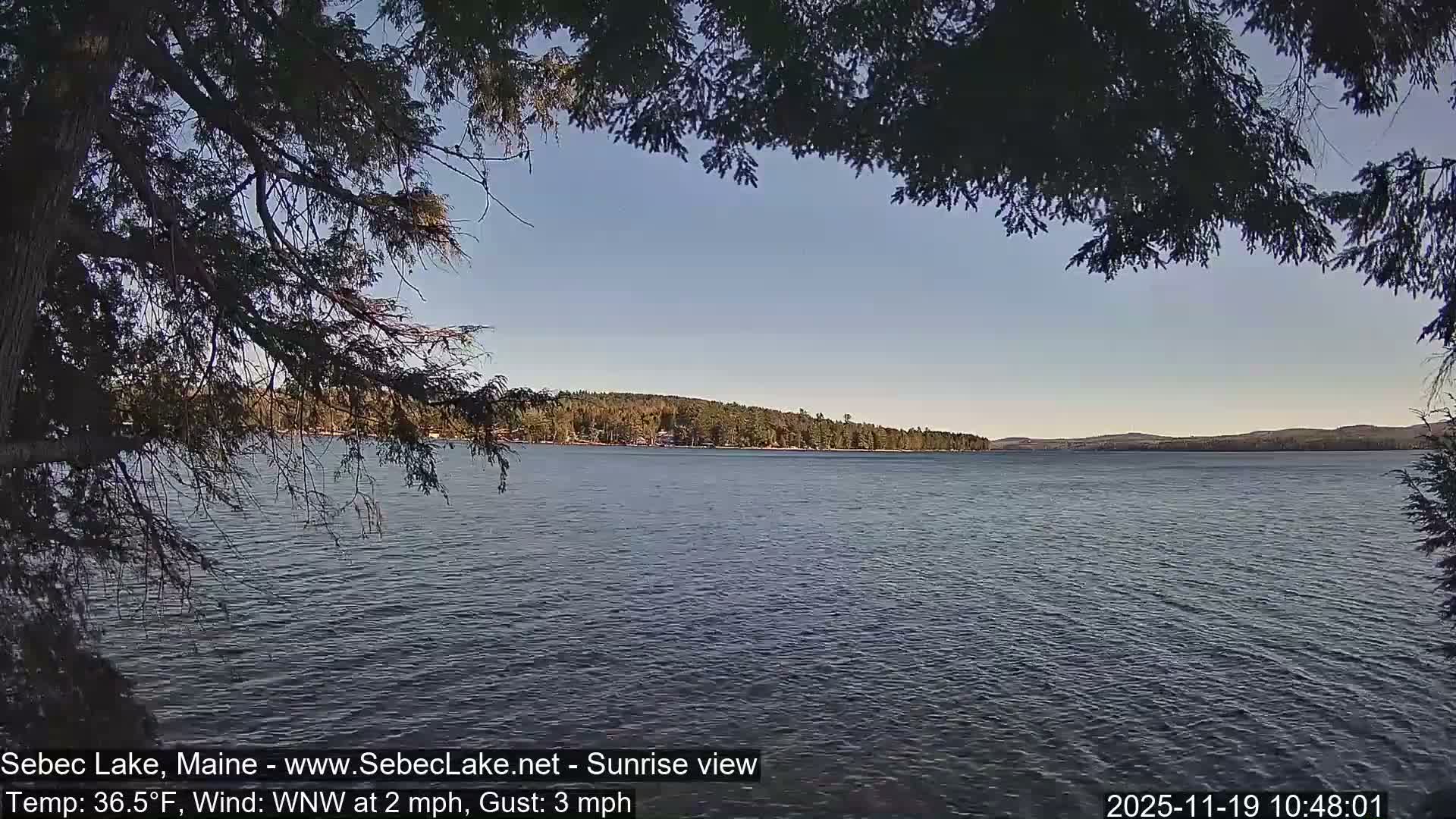 An extremely dark, pre-dawn or nighttime outdoor scene depicts a few tiny, distant lights against a backdrop of what appears to be an overcast sky.