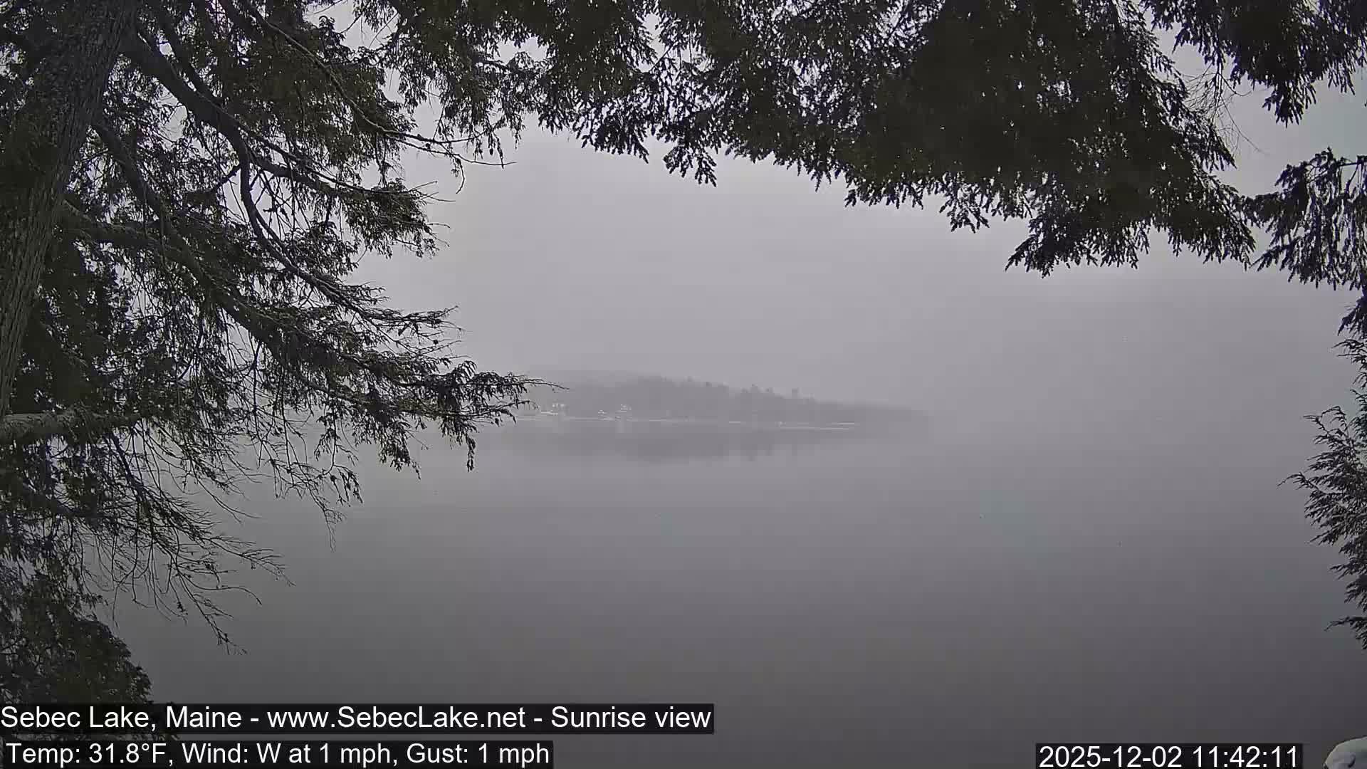 A misty lake is framed by dark evergreen trees, with a hazy distant shoreline and structures barely visible under overcast skies.
