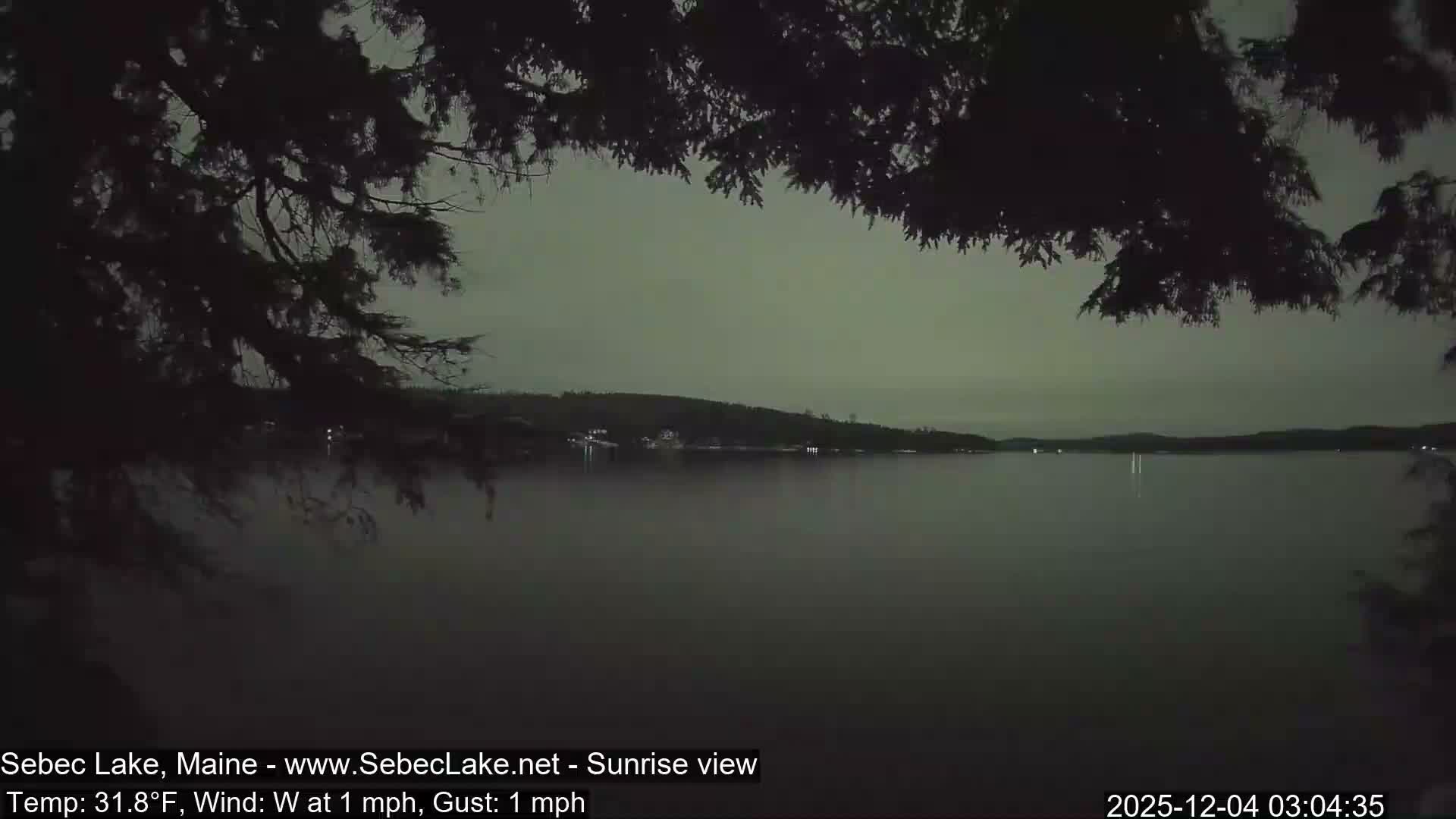 A tranquil lake, framed by dark tree silhouettes in the foreground, stretches under a dim, overcast sky with faint lights visible along the distant shore.