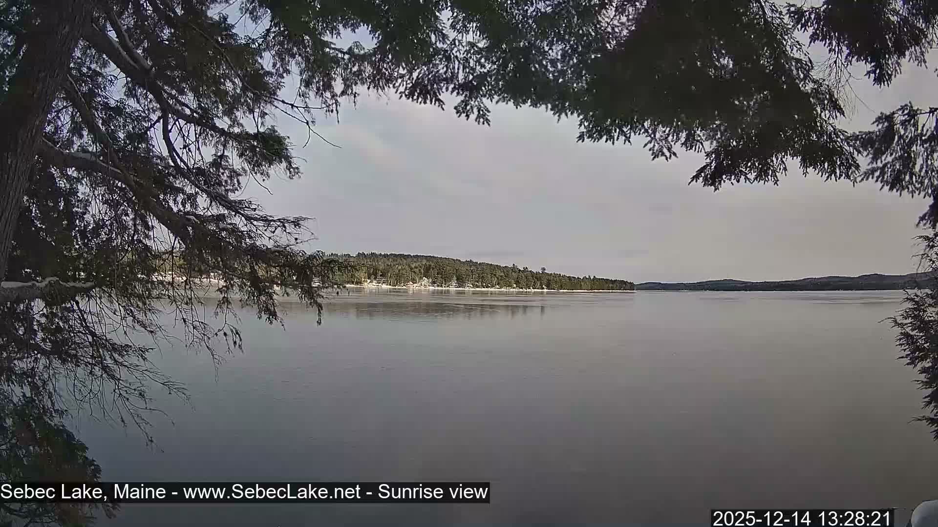 A tranquil lake, framed by dark tree silhouettes in the foreground, stretches under a dim, overcast sky with faint lights visible along the distant shore.