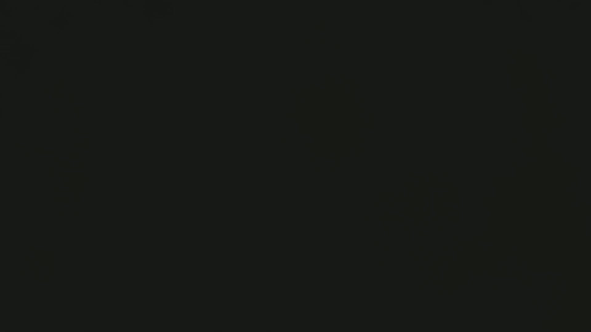 The image is a completely black square.