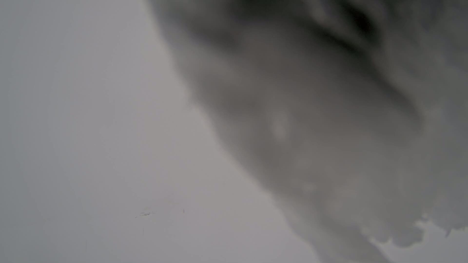 A blurry, out-of-focus image shows a large, dark gray shape obscuring the view of a light gray background, possibly a cloudy sky.
