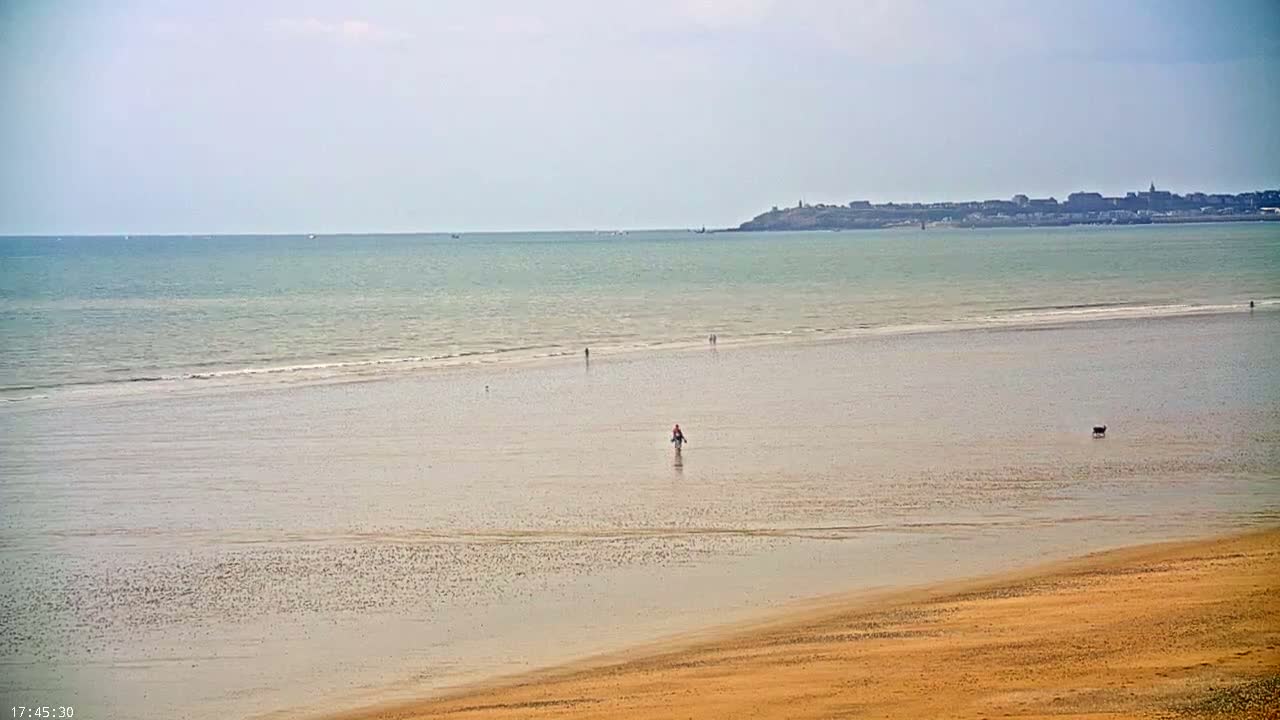 A wide, sandy beach stretches out to a calm, light-blue ocean under a cloudy sky, with a few people and a dog visible in the distance.