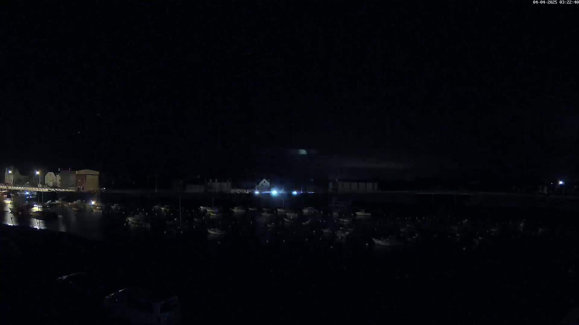 A nighttime view shows a harbor filled with numerous boats under a dark, clear sky.