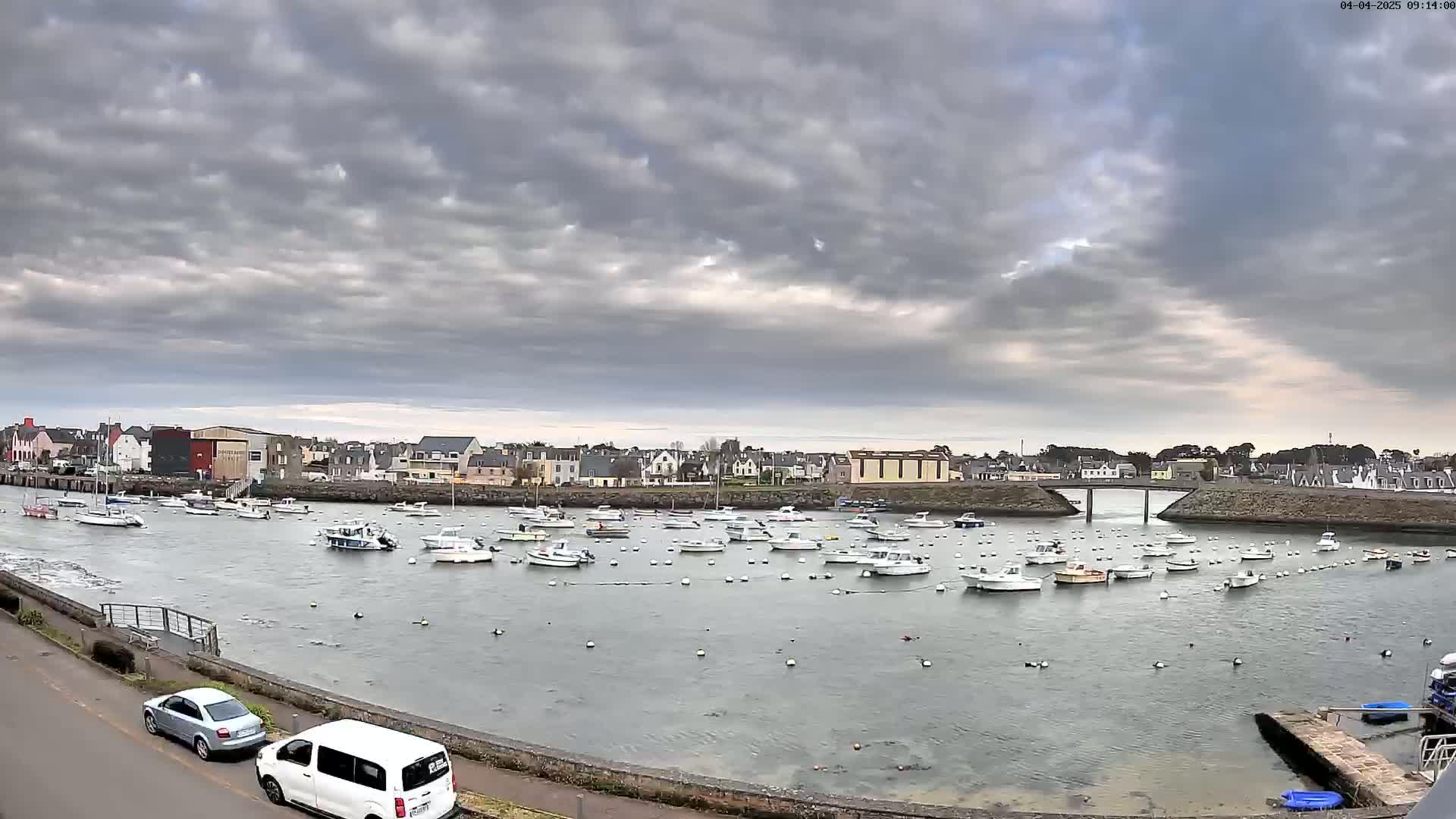 A harbor filled with numerous small boats is situated under a cloudy sky, with cars parked along a road nearby.