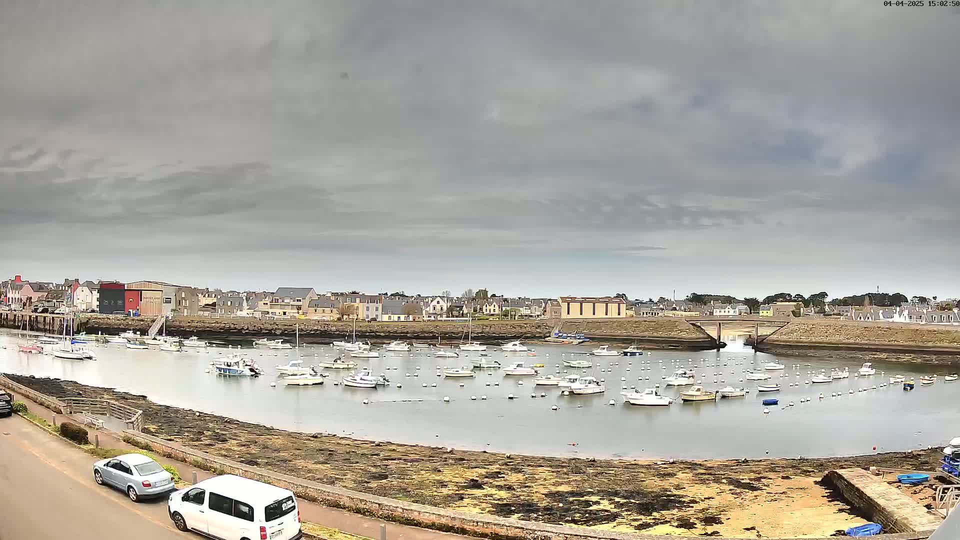 A harbor filled with numerous small boats under an overcast sky is viewed from a slightly elevated position, with a town visible in the background.