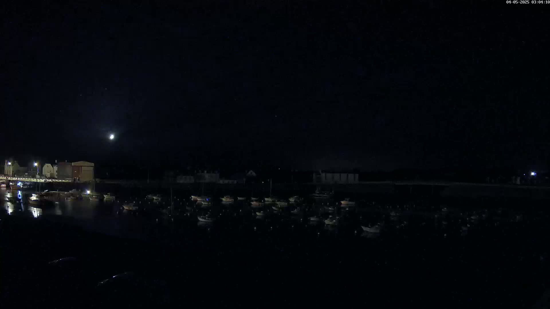 A moonlit night scene shows a harbor filled with numerous boats and buildings along the shoreline.