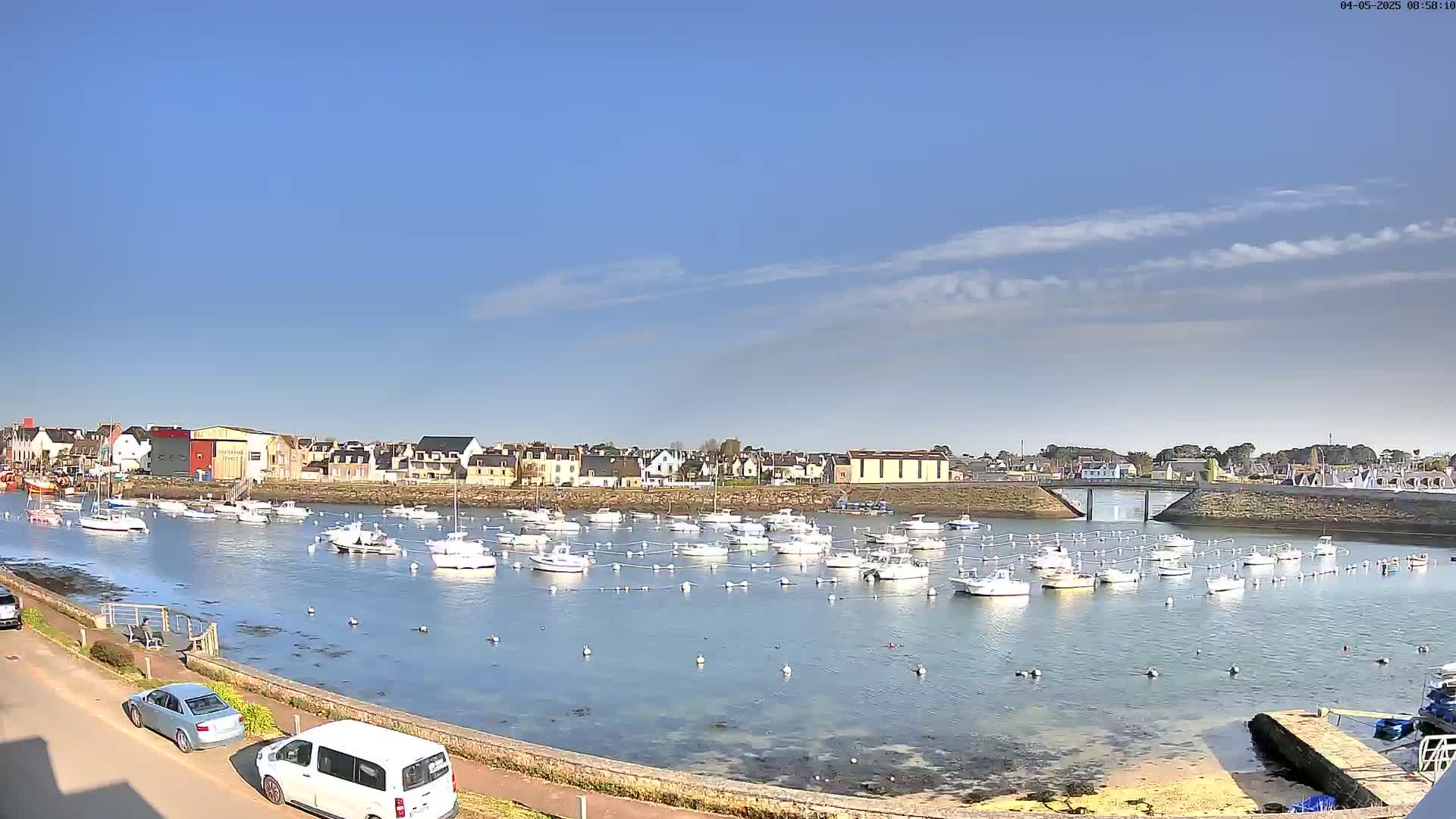 A calm harbor filled with numerous small white boats under a mostly clear blue sky, with a small town visible in the background.