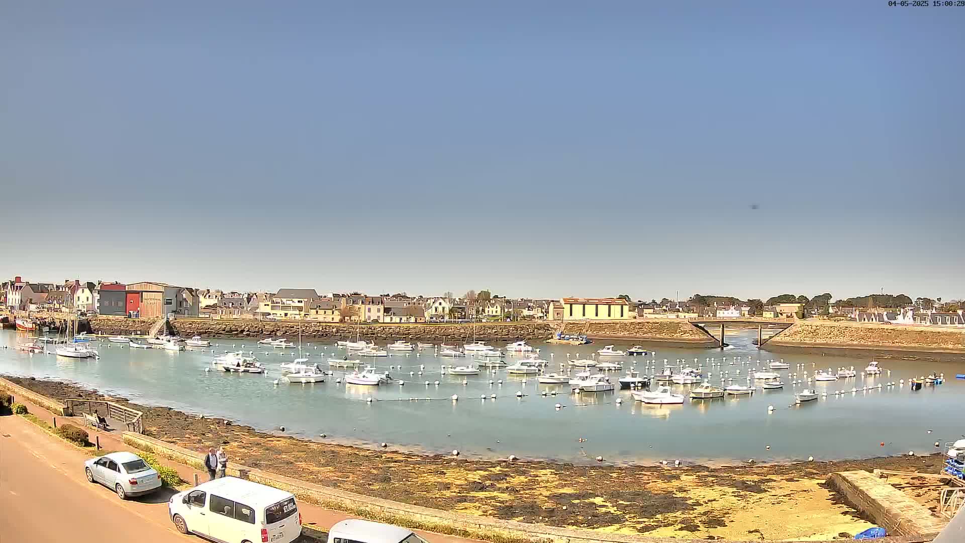 A harbor filled with numerous small white boats under a clear blue sky, surrounded by a town and low-lying, exposed shoreline.