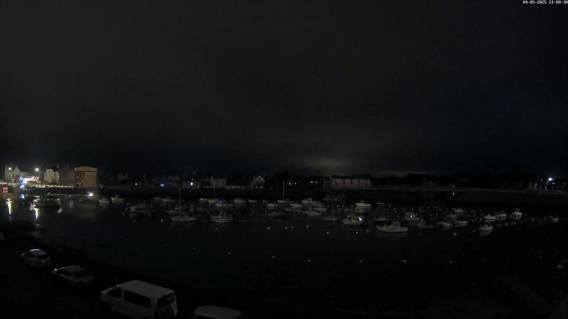 A nighttime view of a harbor filled with numerous boats, under a dark, overcast sky.