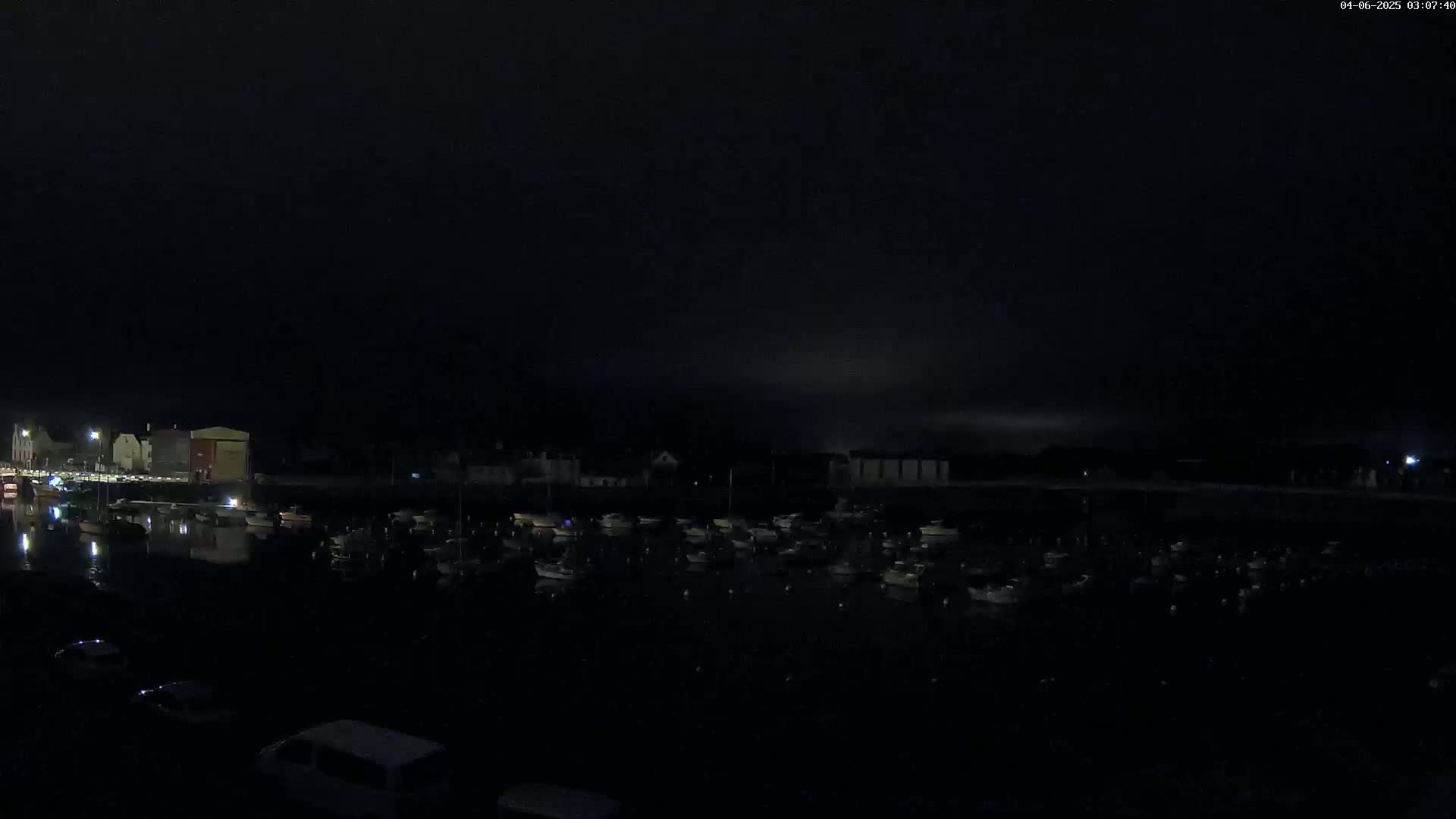 A nighttime view of a harbor filled with numerous boats, with a few buildings faintly visible along the shoreline under a dark, overcast sky.