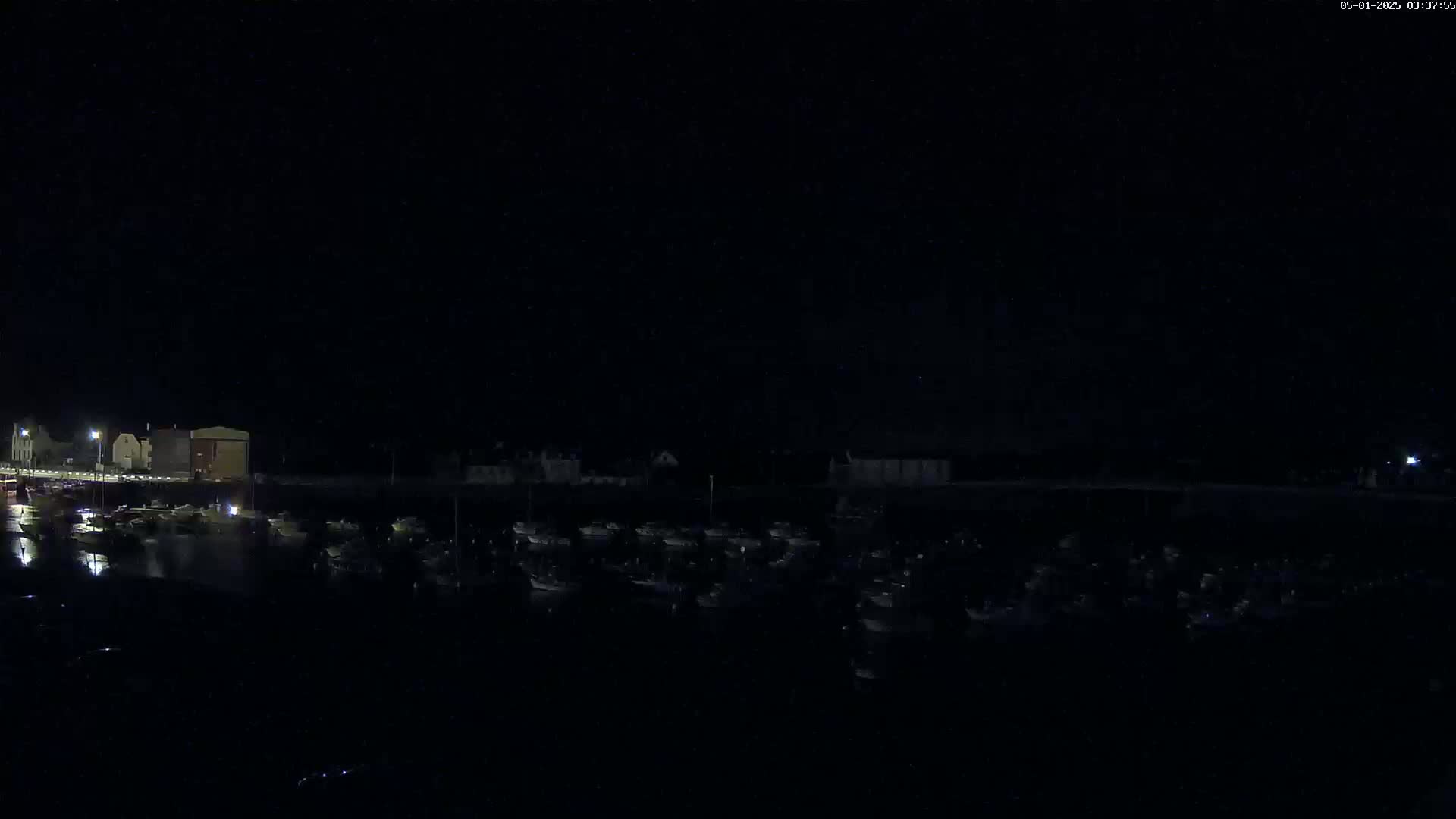 A dark nighttime view of a harbor filled with many boats, illuminated by faint lights, under a clear, black sky.